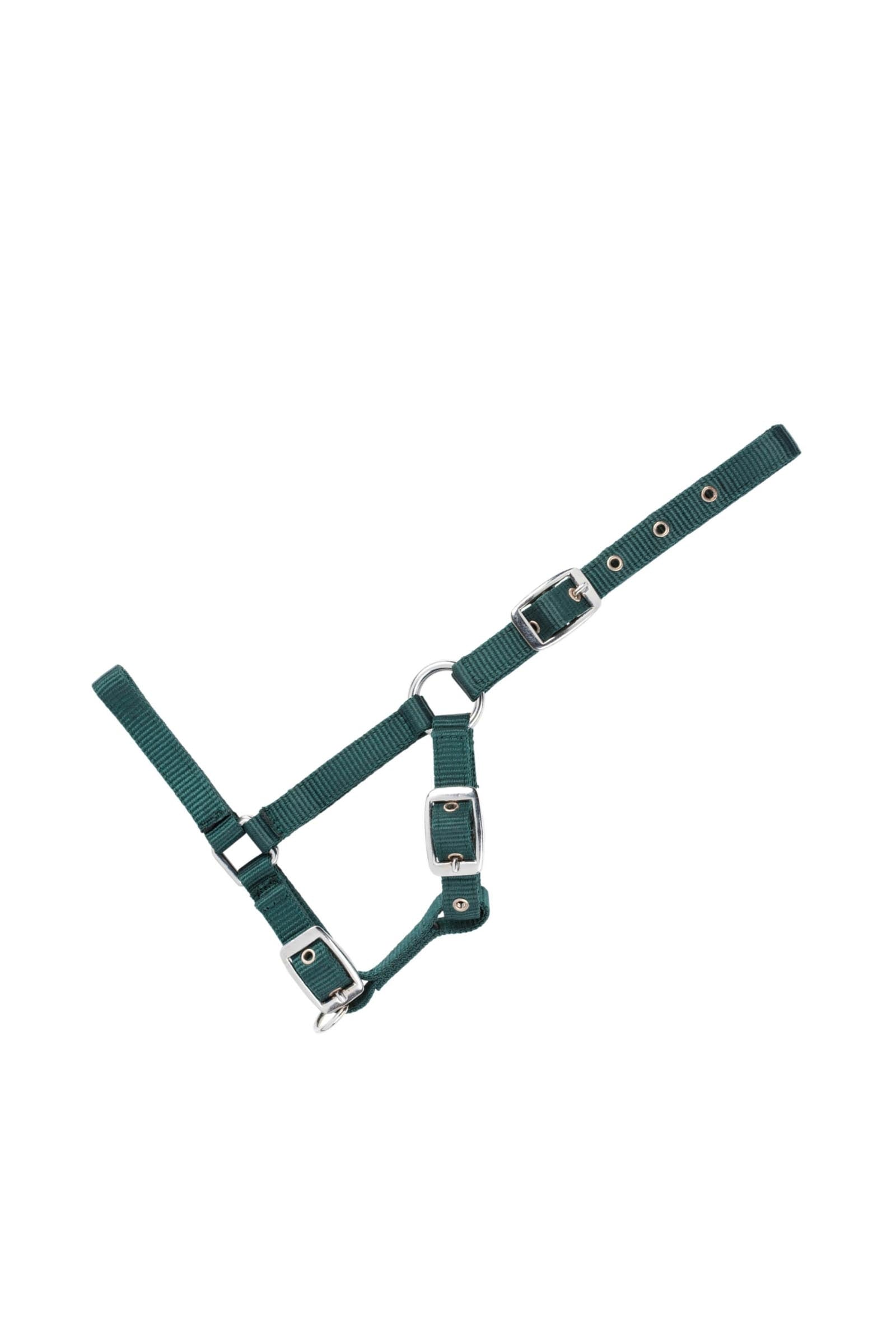 USG Adjustable Foal Halter Cavezze e guinsagli