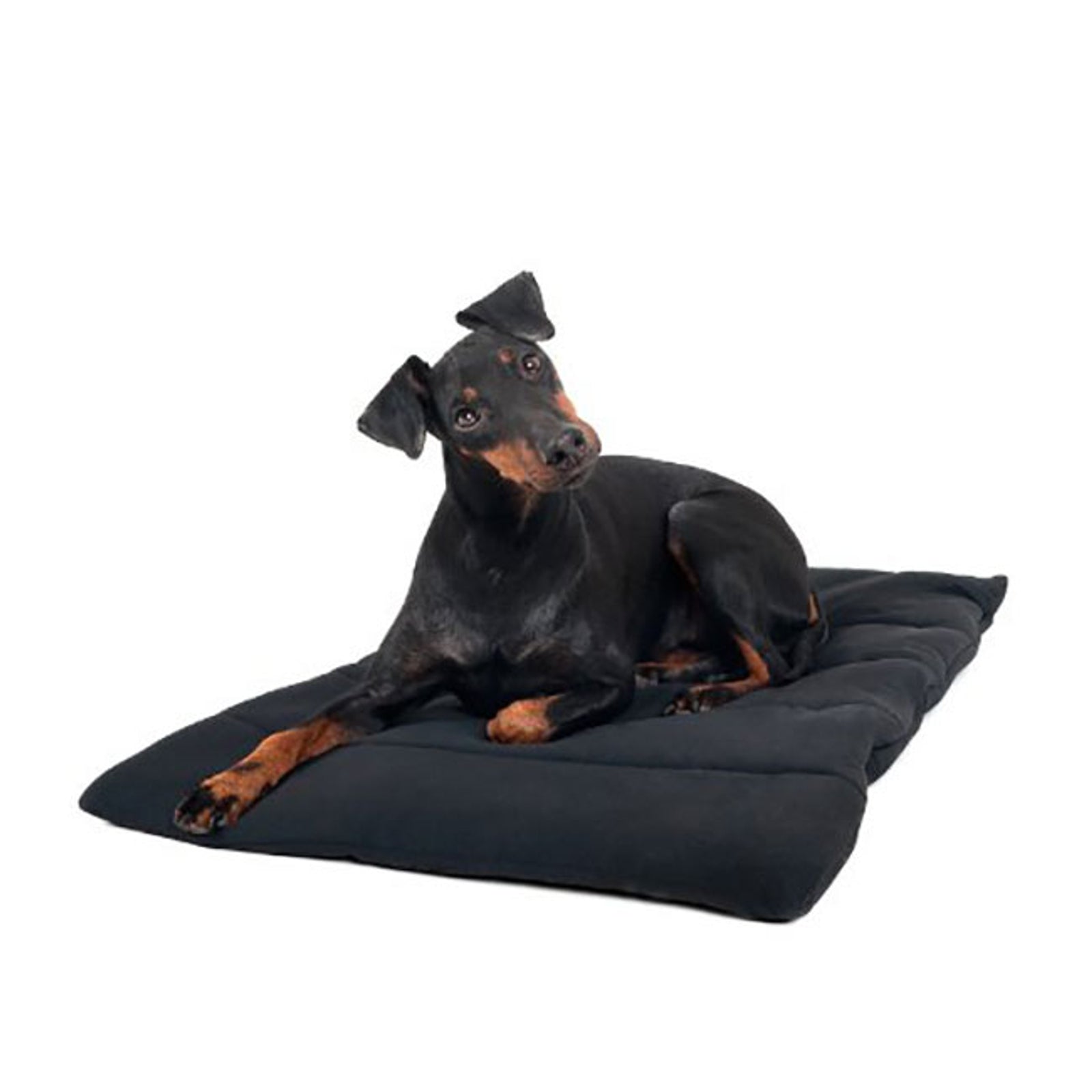 Back on Track Coperta per cani Cane