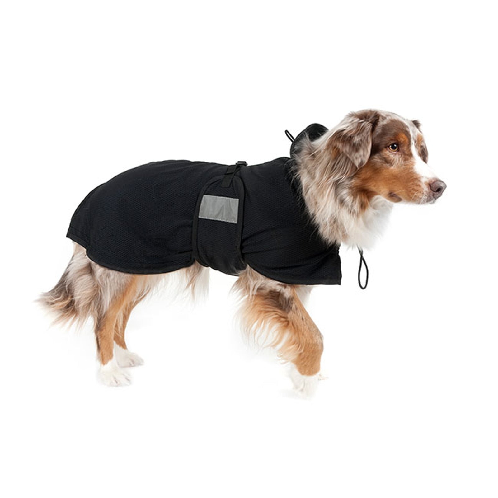 Back on Track Coperta in rete per bassotto Cane