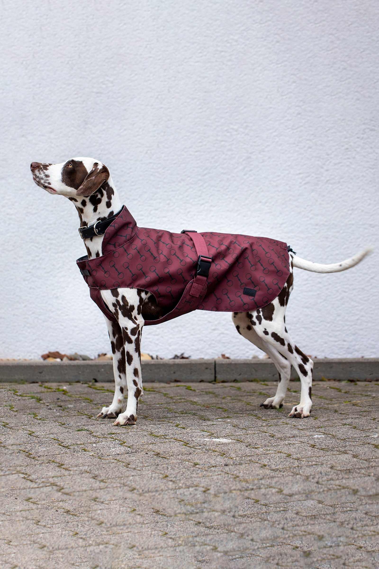 Horze Noir Cappotto per cani con stampa Cane