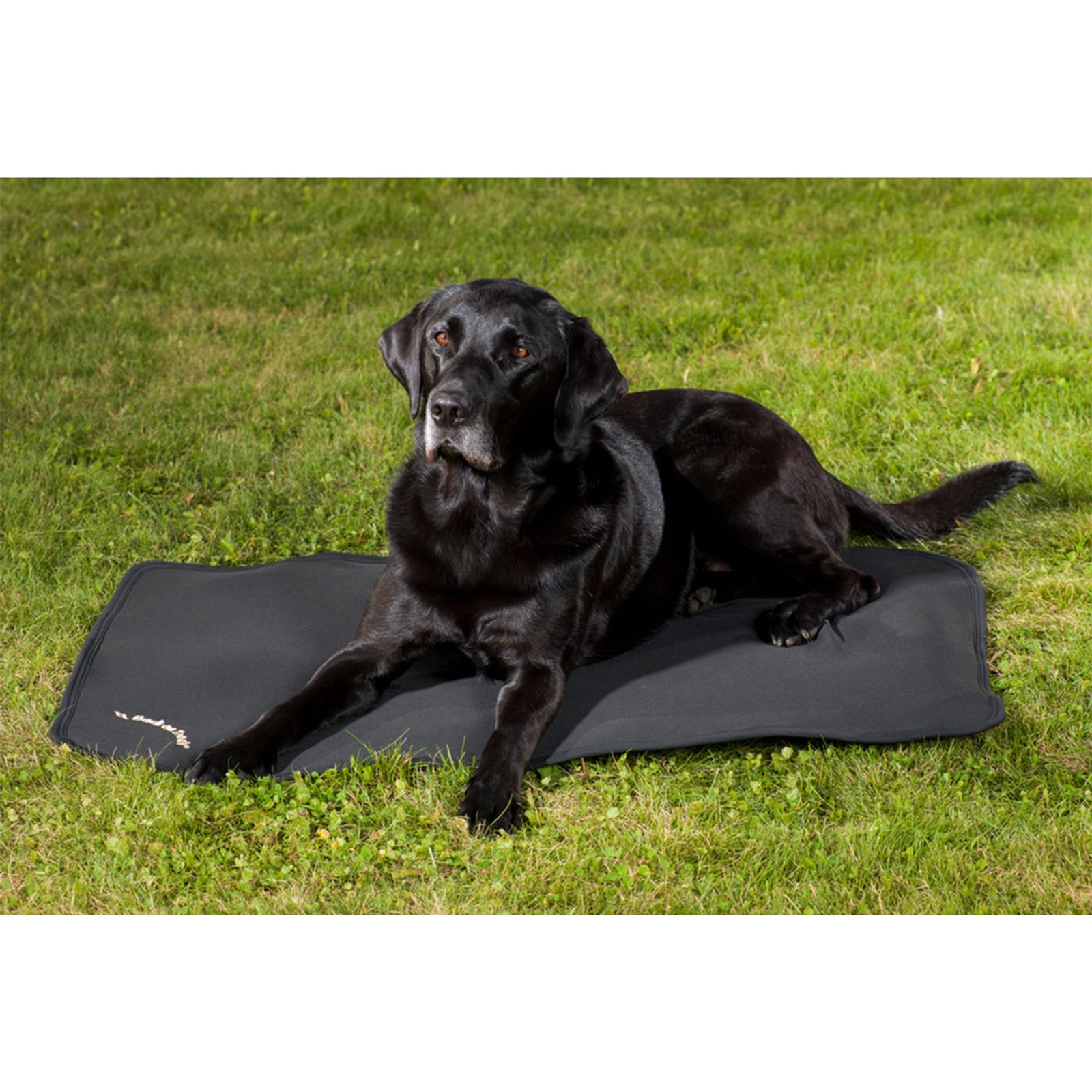 Back on Track Fodera per letto per cani Back on Track, 100x68 Cane