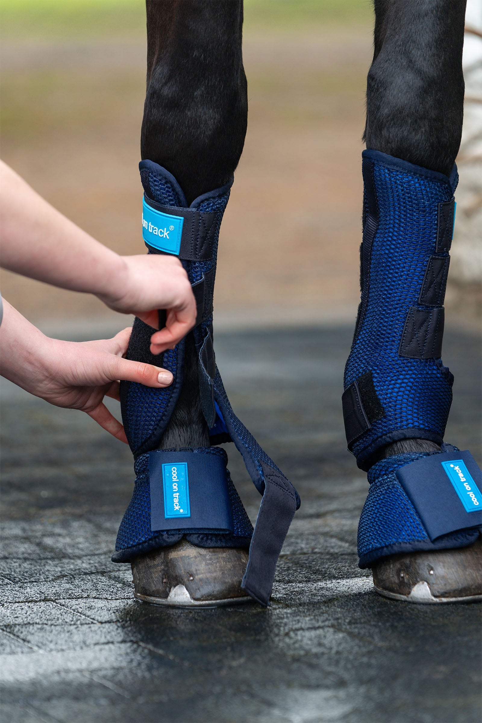 Back on Track Cool on Track Quick wraps Leg Protection & Hoof Protection for Horses
