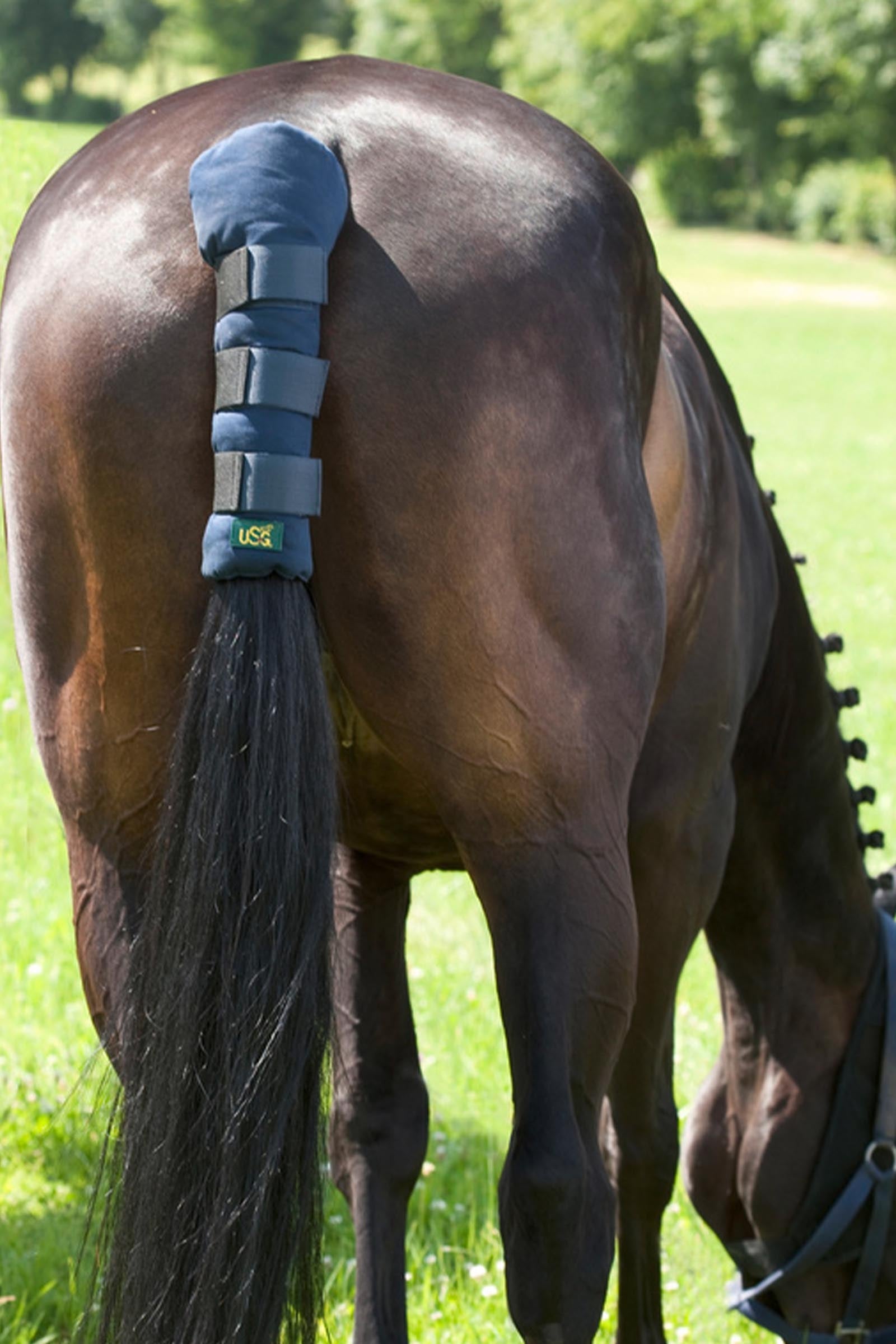 USG fascia coda regolabile Leg Protection & Hoof Protection for Horses