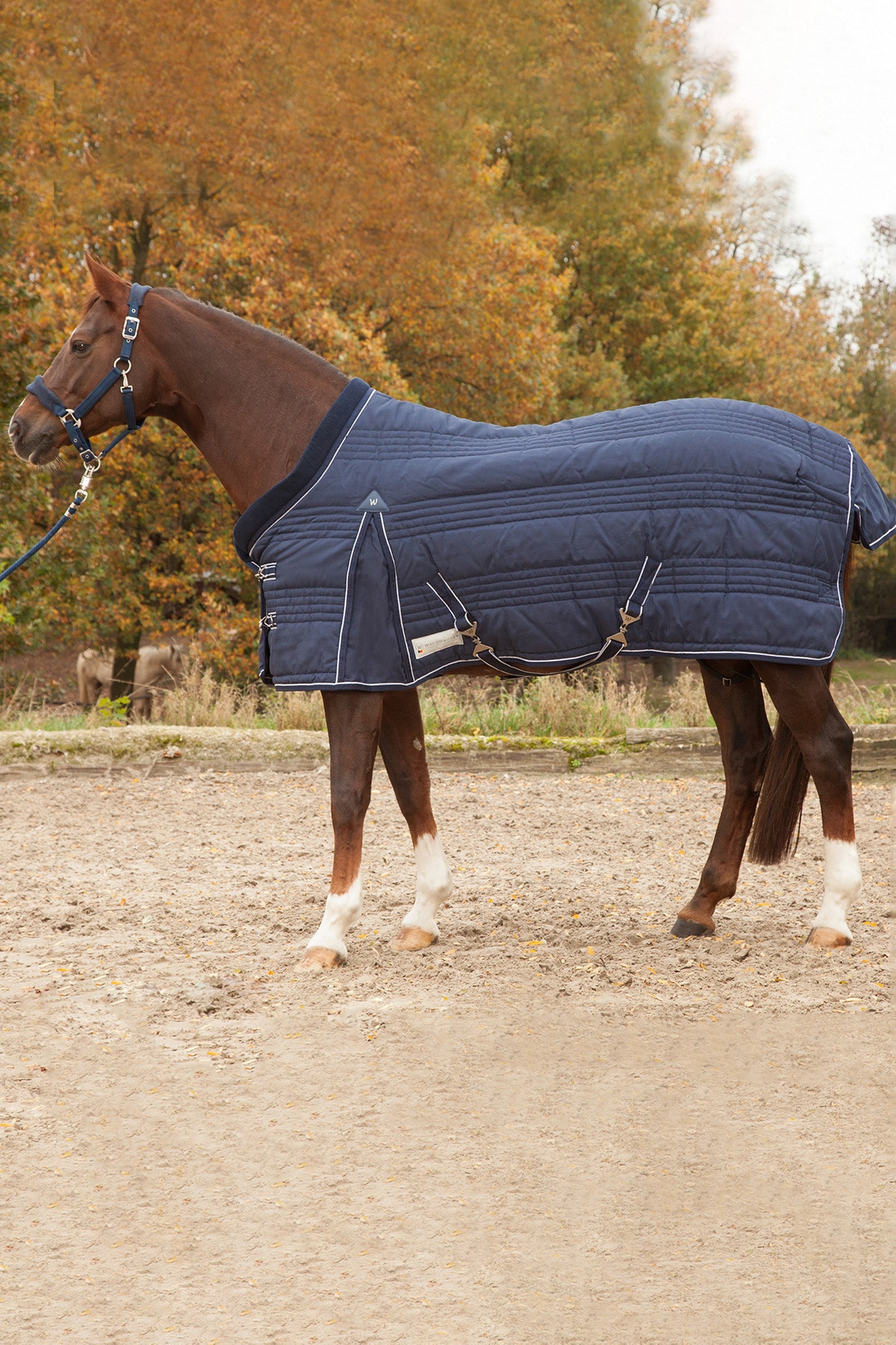 Waldhausen Stable Rug Comfort Line 200g Coperte per cavalli