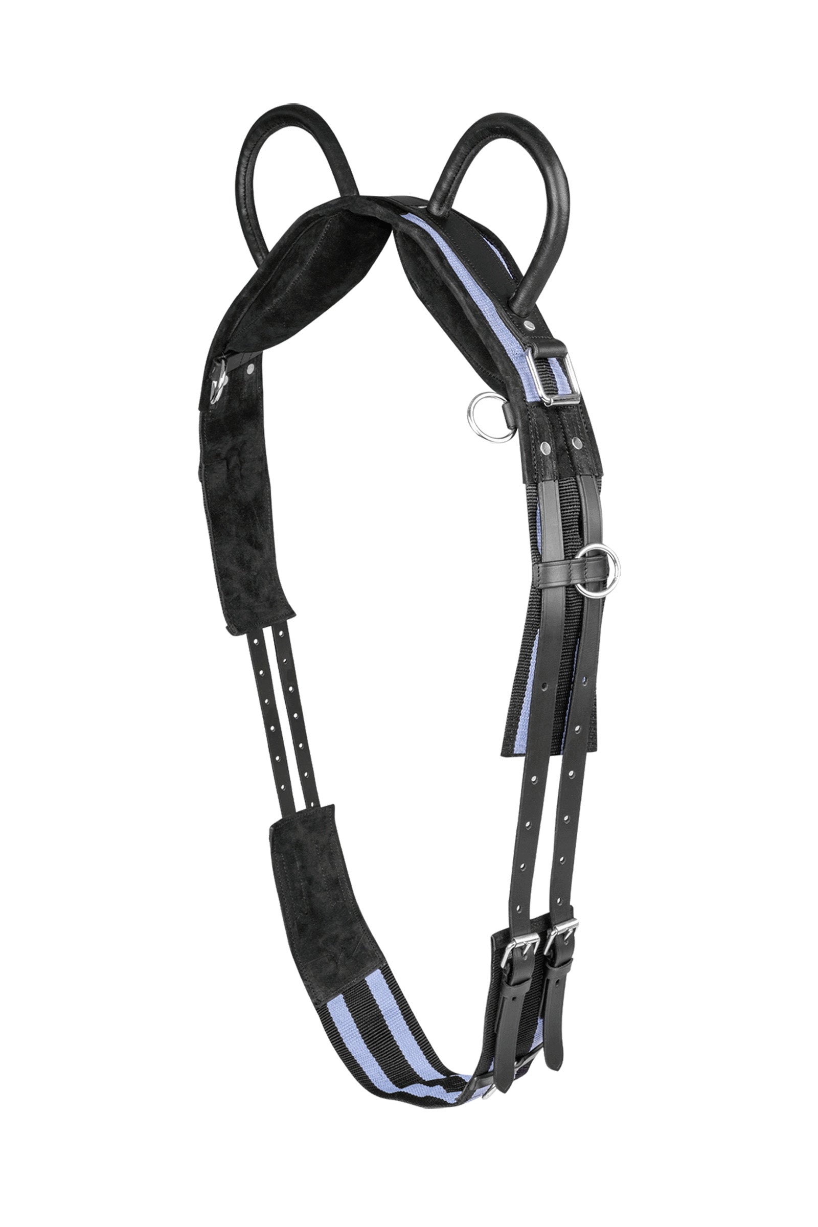 Waldhausen Surcingle con due maniglie Selle & Sottopancia