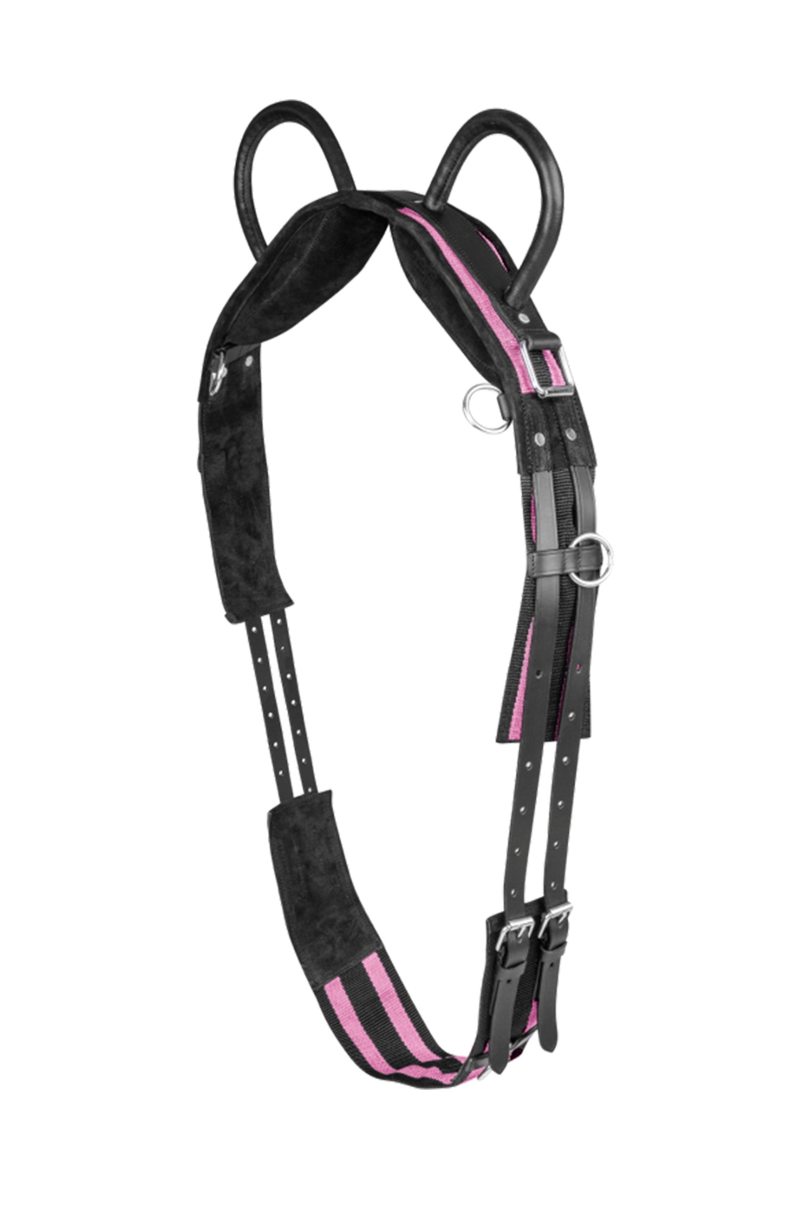 Waldhausen Surcingle con due maniglie Selle & Sottopancia