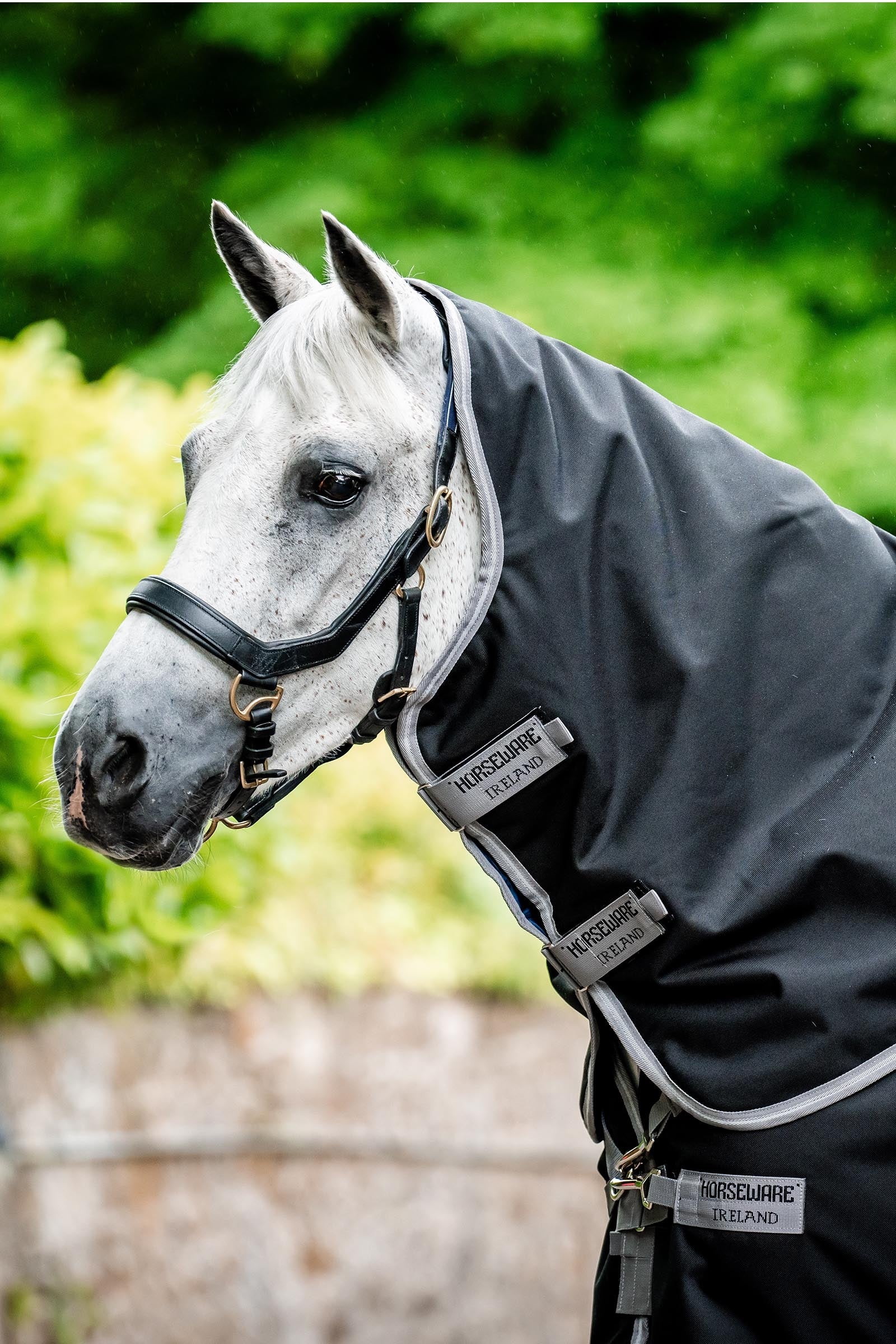 Horseware Amigo Bravo 12 Collo 0g Coperte per cavalli