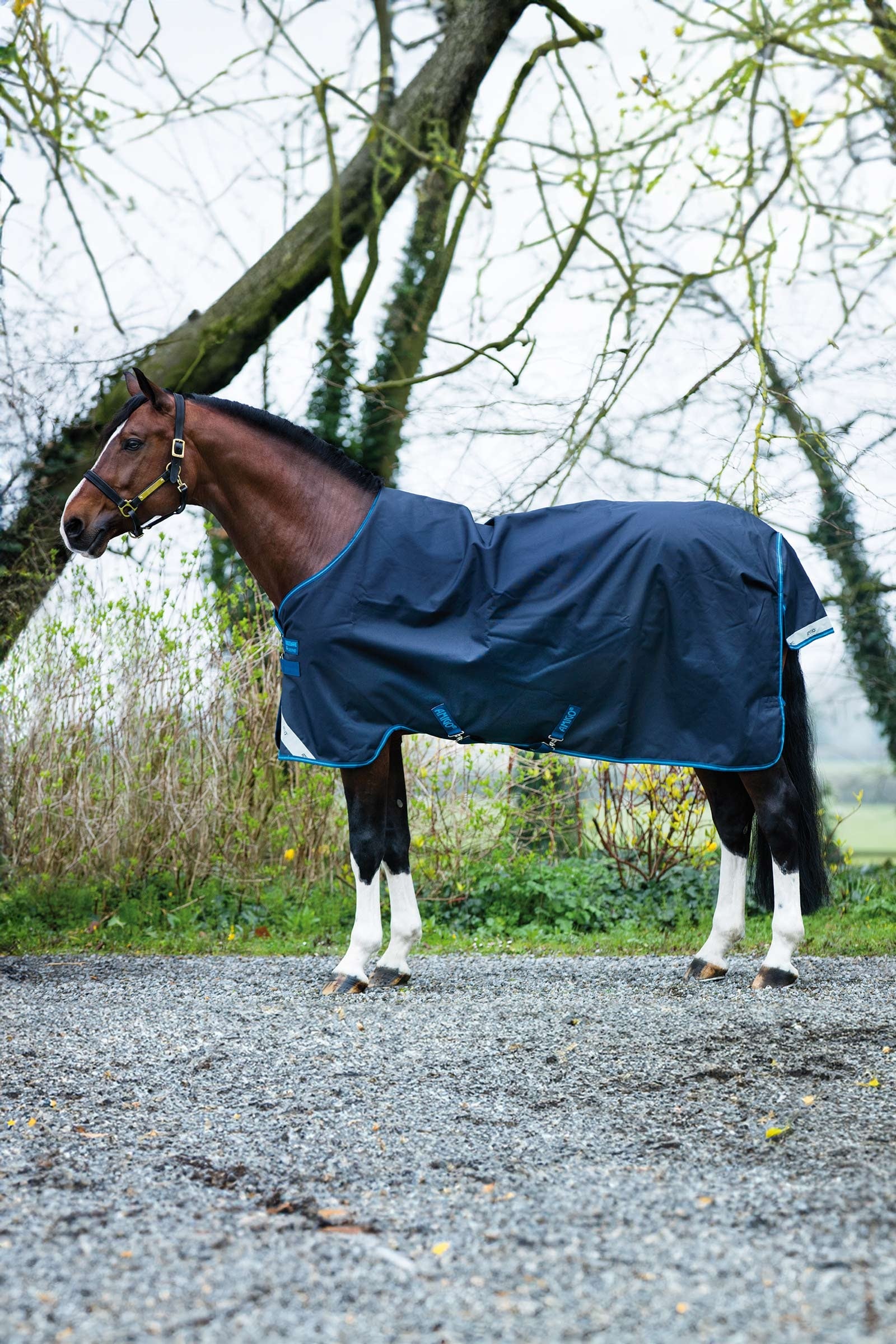 Horseware Amigo Bravo 12 coperta da turnout, 100g Coperte per cavalli