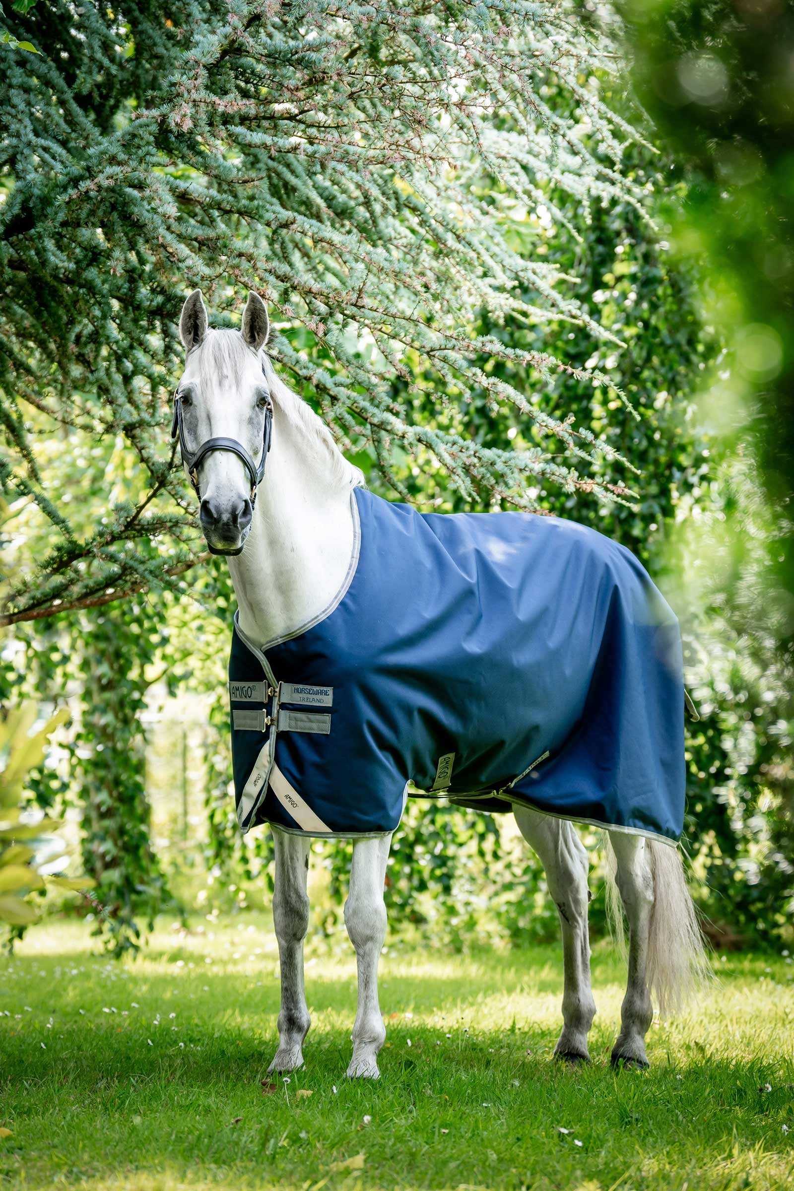 Horseware Amigo Bravo 12 coperta da turnout, 100g Coperte per cavalli
