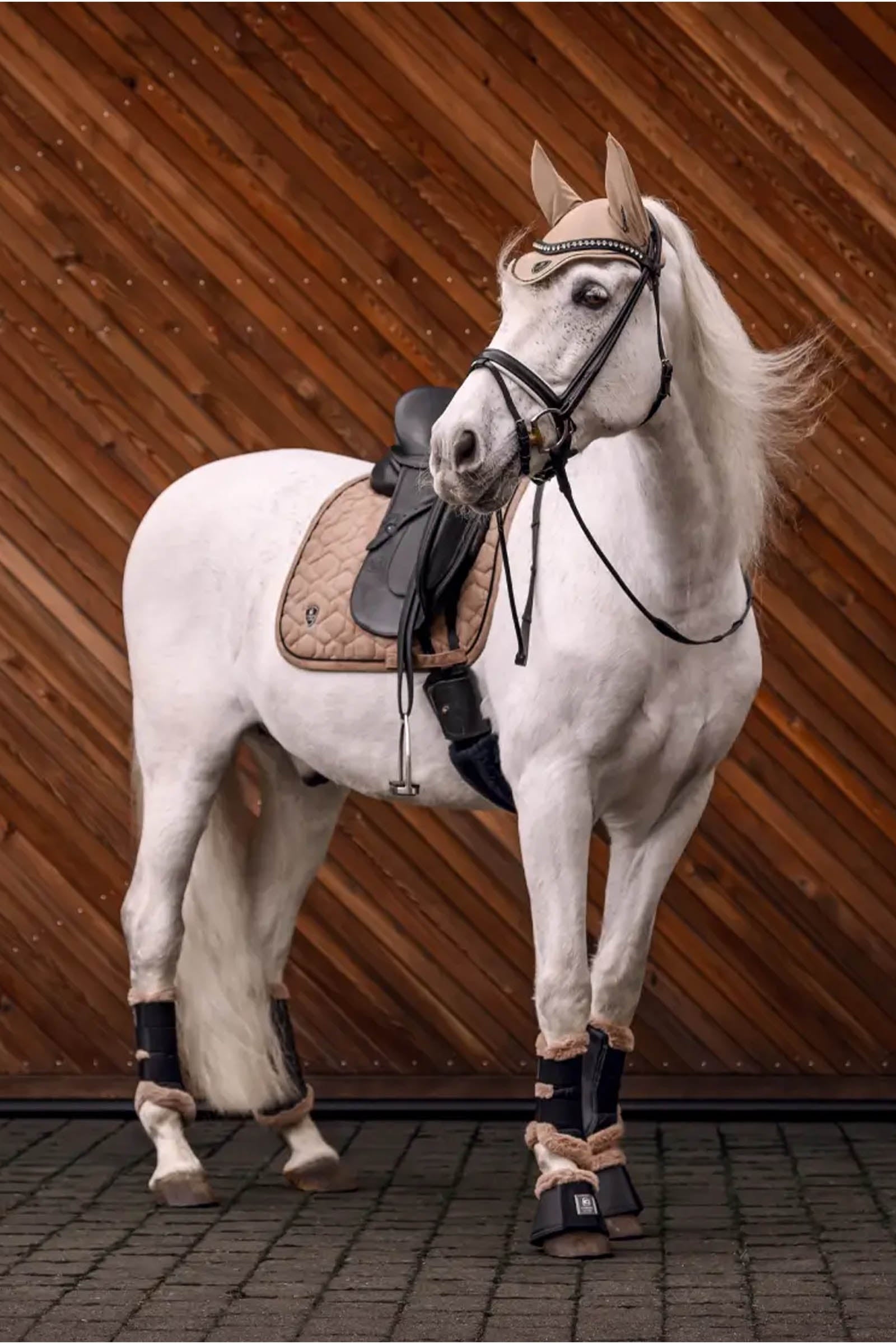 Cavallo CAVALPINO All Purpose Saddle Pad Saddle Pads