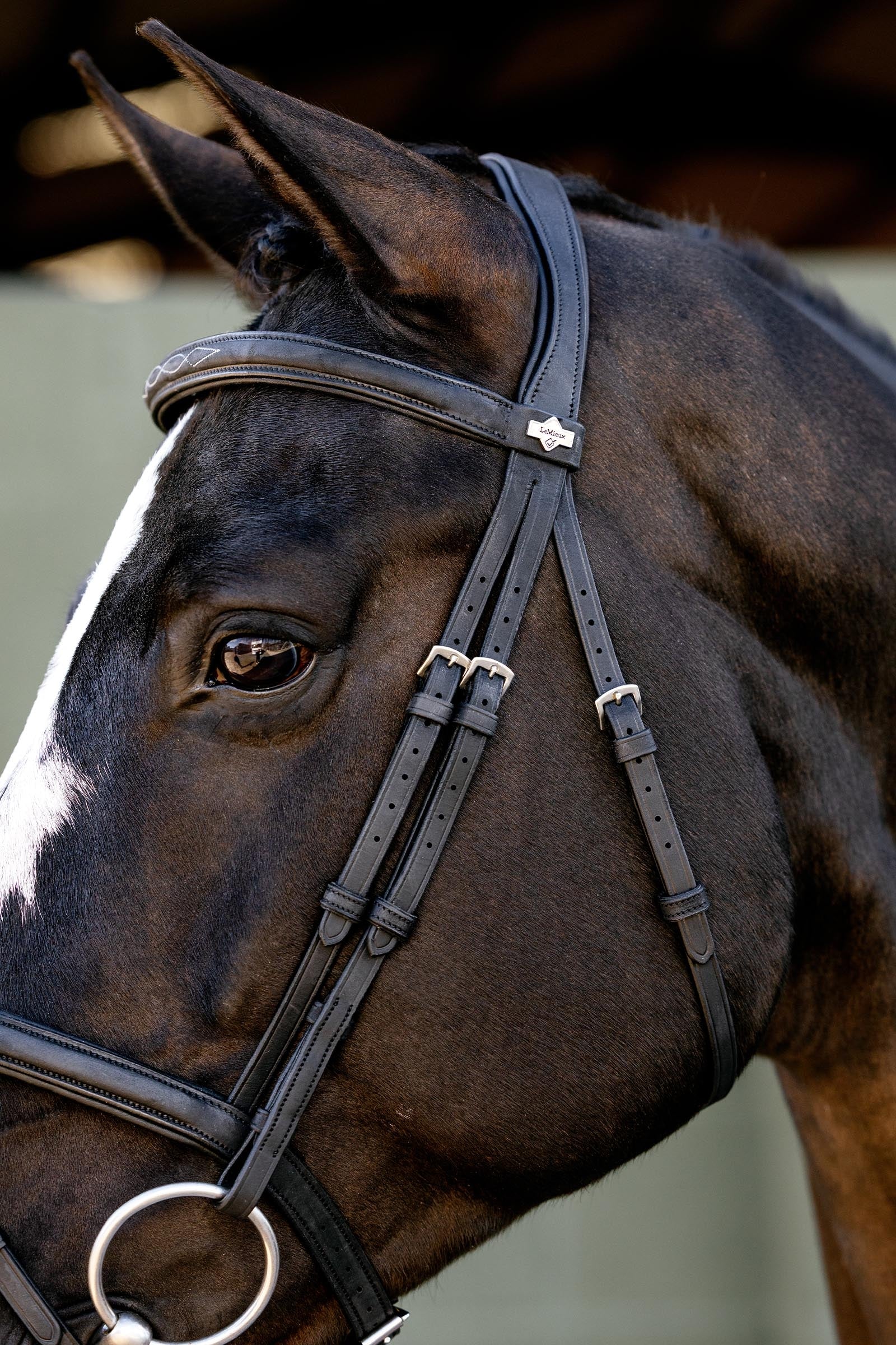 LeMieux Classique Flash Bridle Bridles & Reins
