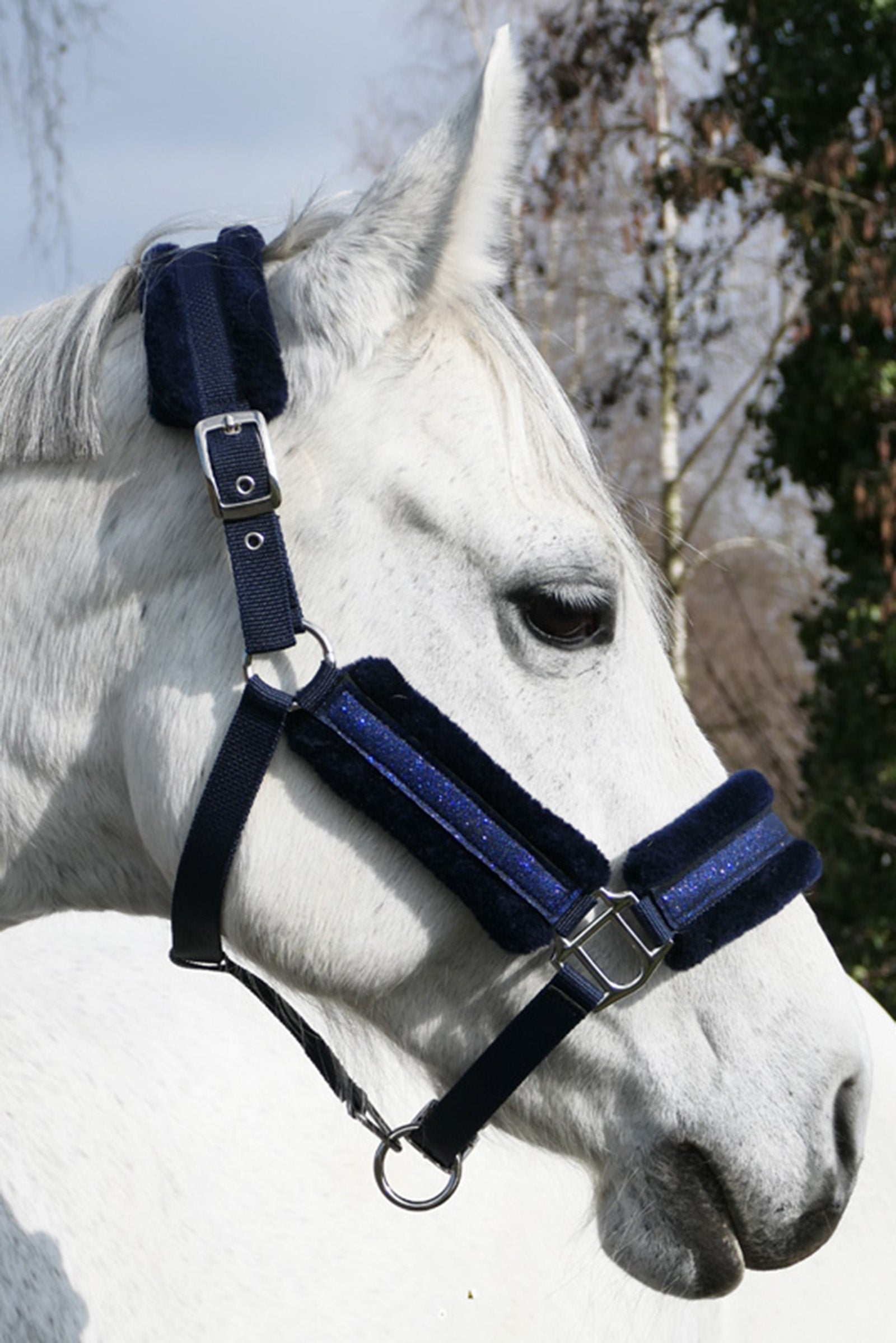 Kavalkade Star Glitter Halter With Faux Fur Halters & Leads