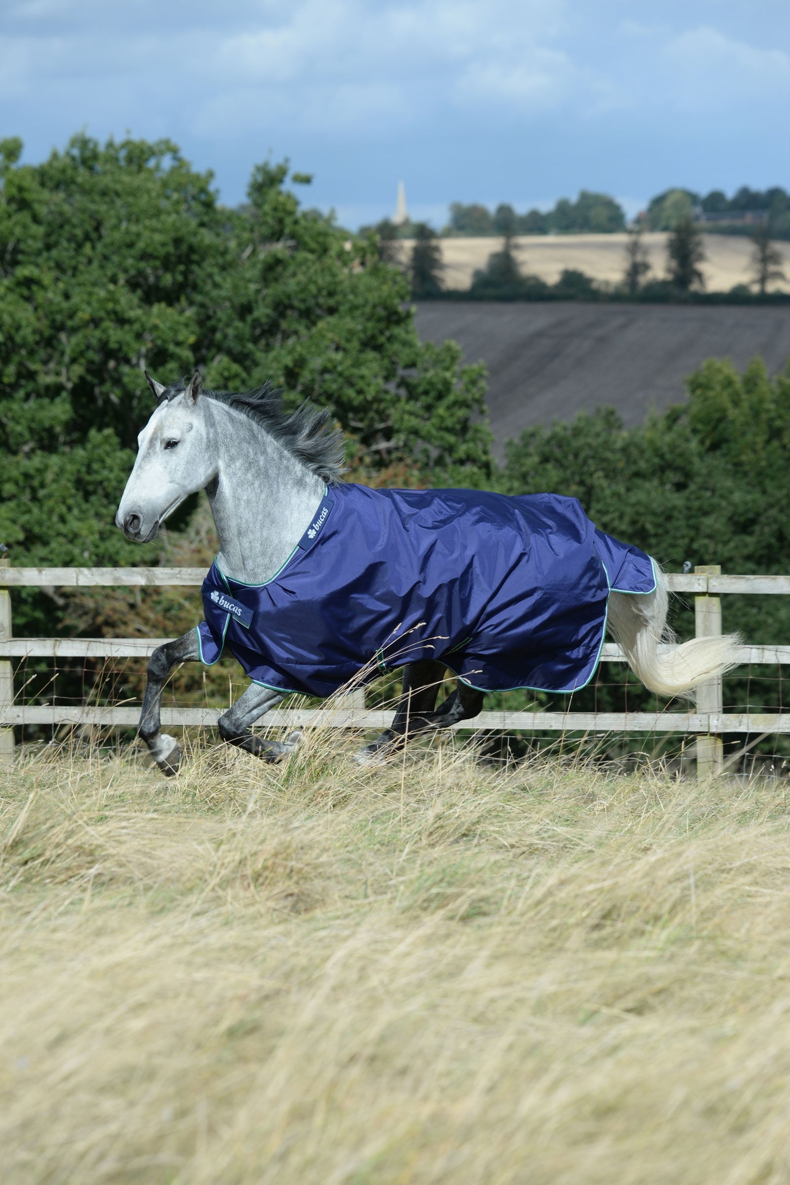 Bucas Smartex Medium Turnout Rug, 150g Horse Rugs