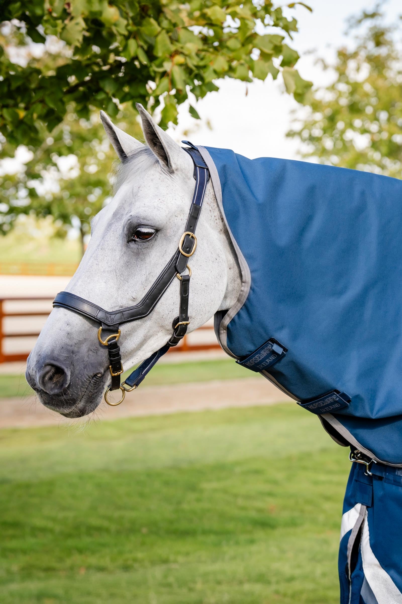 Horseware Ionic Therapy Colletto, 0g Coperte per cavalli