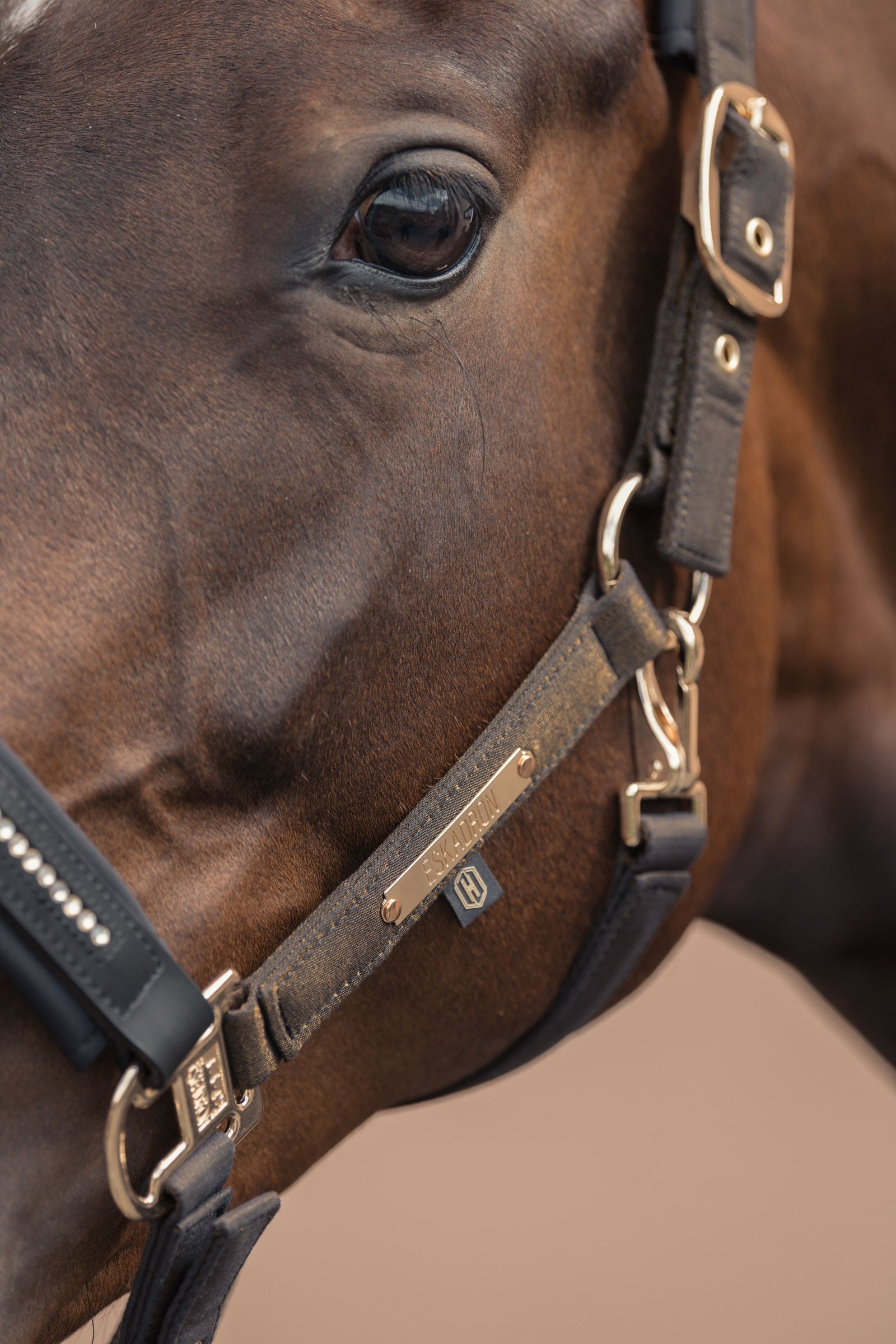Eskadron Heritage AW24 Glam Crystal Double Pin Headcollar Halters & Leads