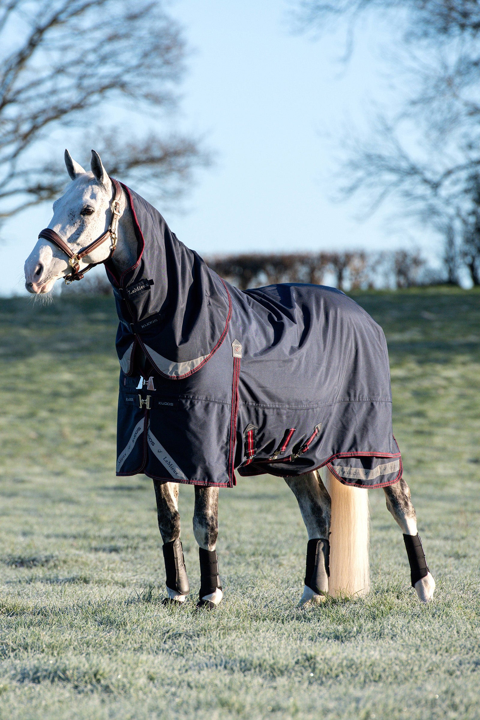 LeMieux Kudos coperta da paddock leggera 100g Coperte per cavalli