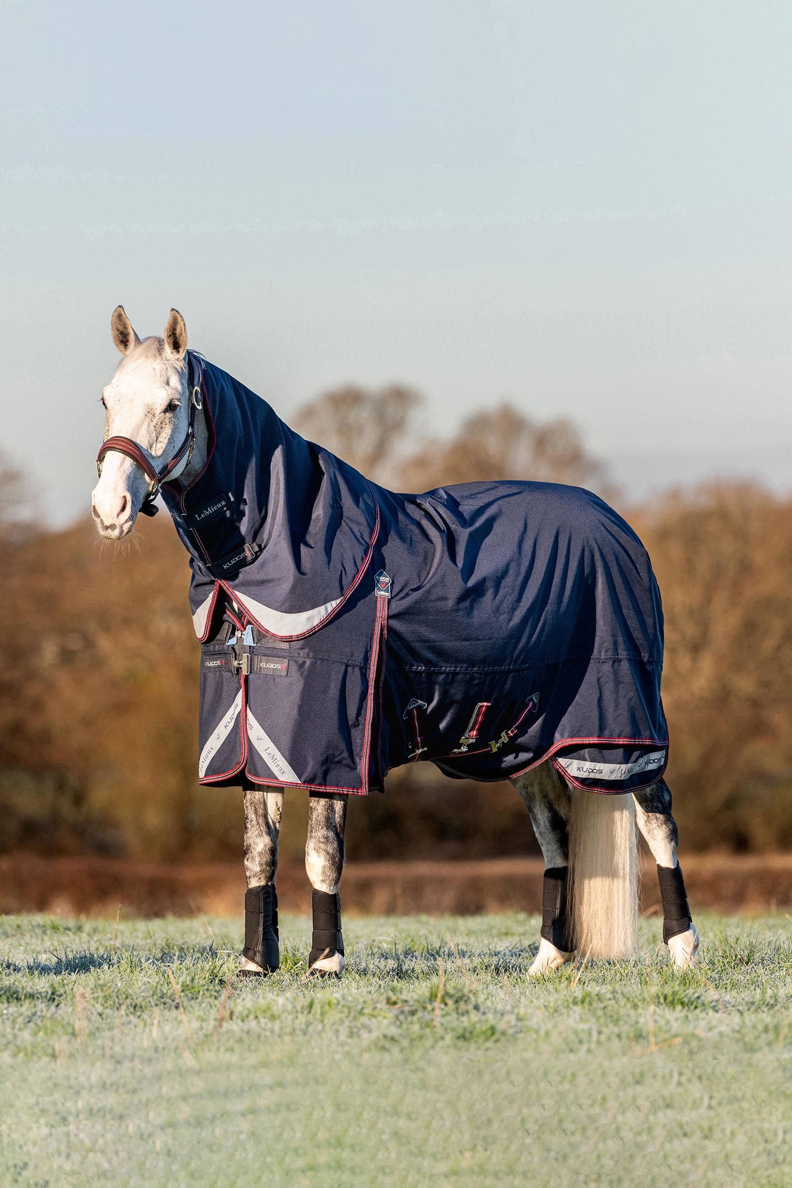 LeMieux Kudos Lightweight Turnout Rug 100g Horse Rugs