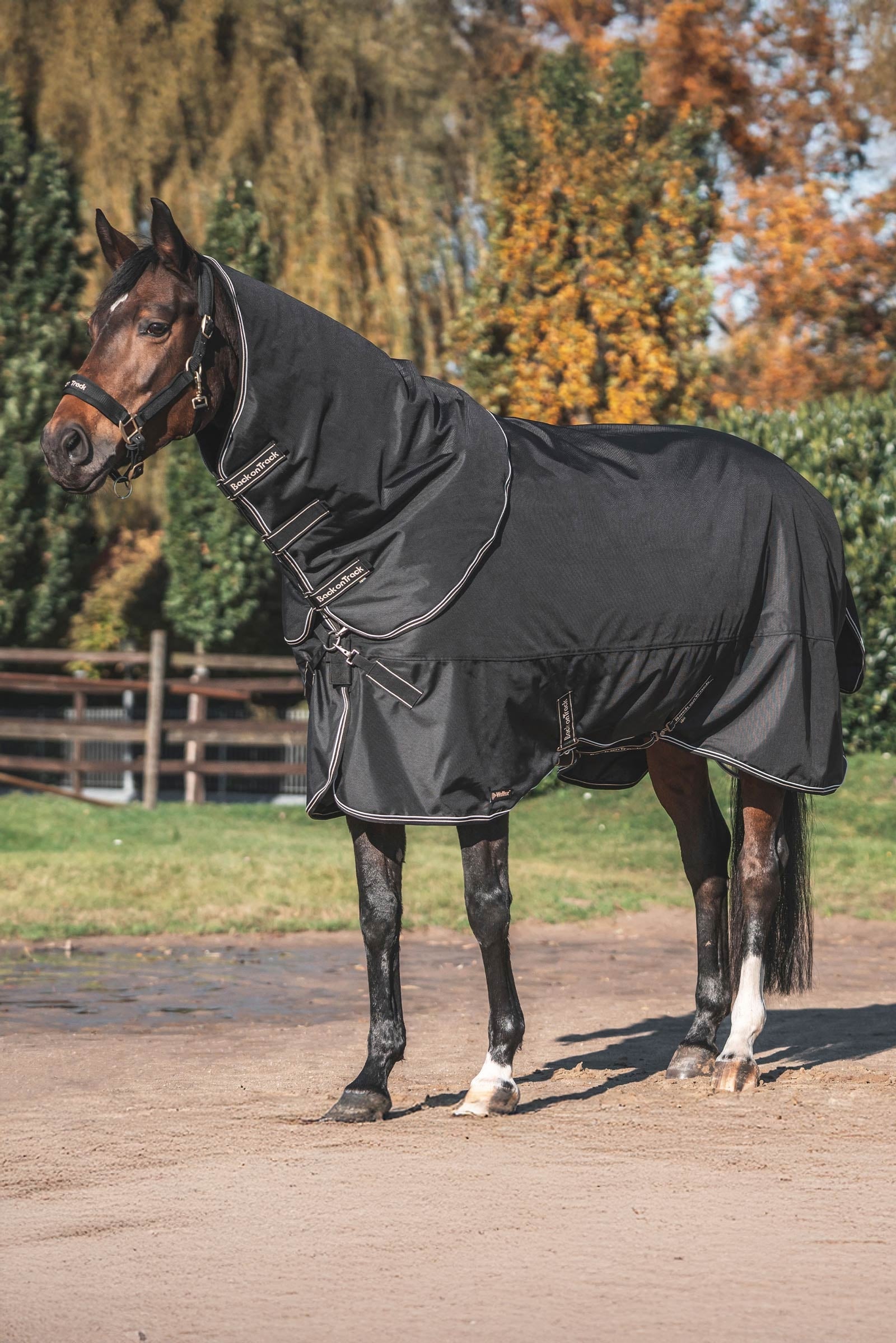 Back on Track Obsidian Coperta da paddock con collo staccabile, 150g Coperte per cavalli