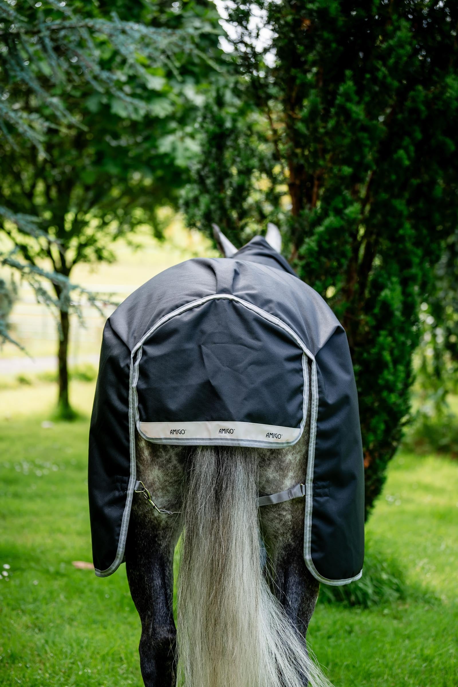 Horseware Amigo 1200D XL Turnout 150 g Horse Rugs