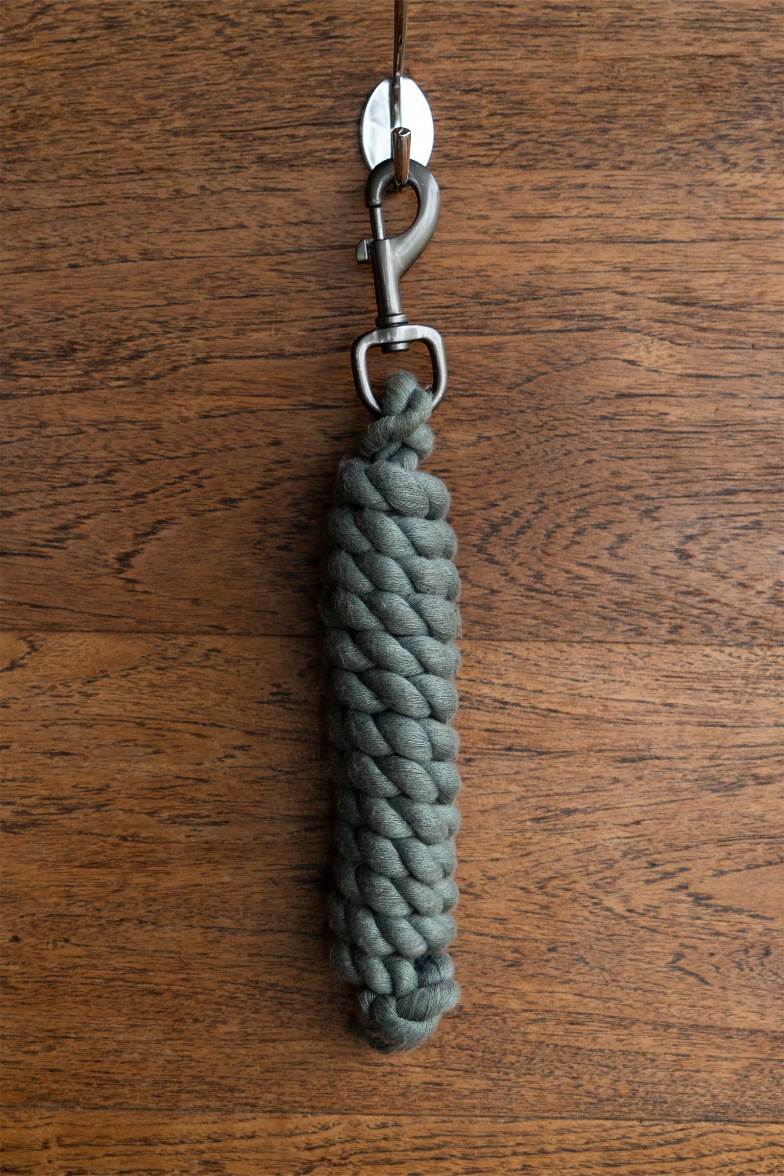 LeMieux longhina in policotone Cavezze e guinsagli