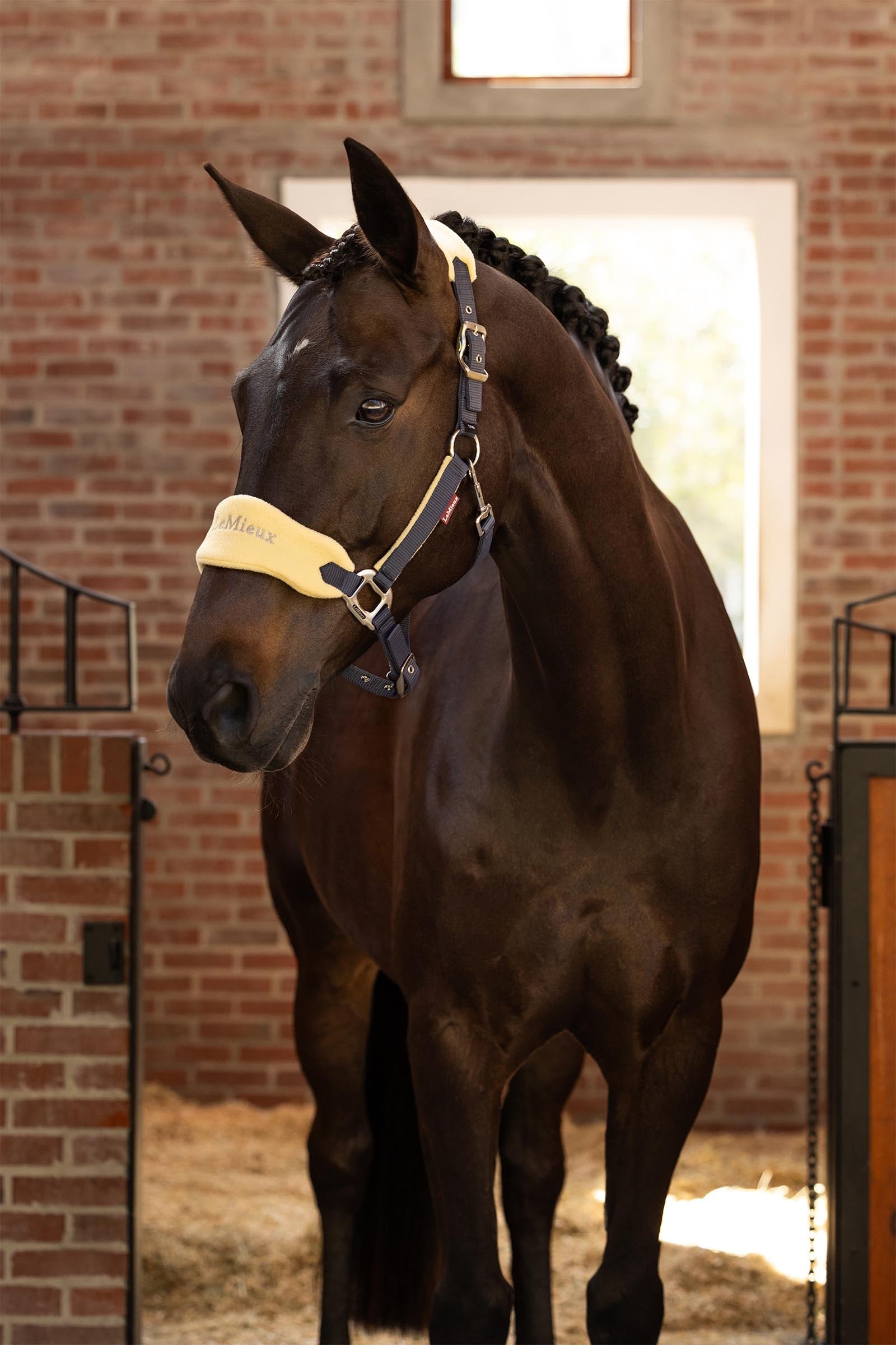 LeMieux Vogue Headcollar & Lead Rope Set Halters & Leads