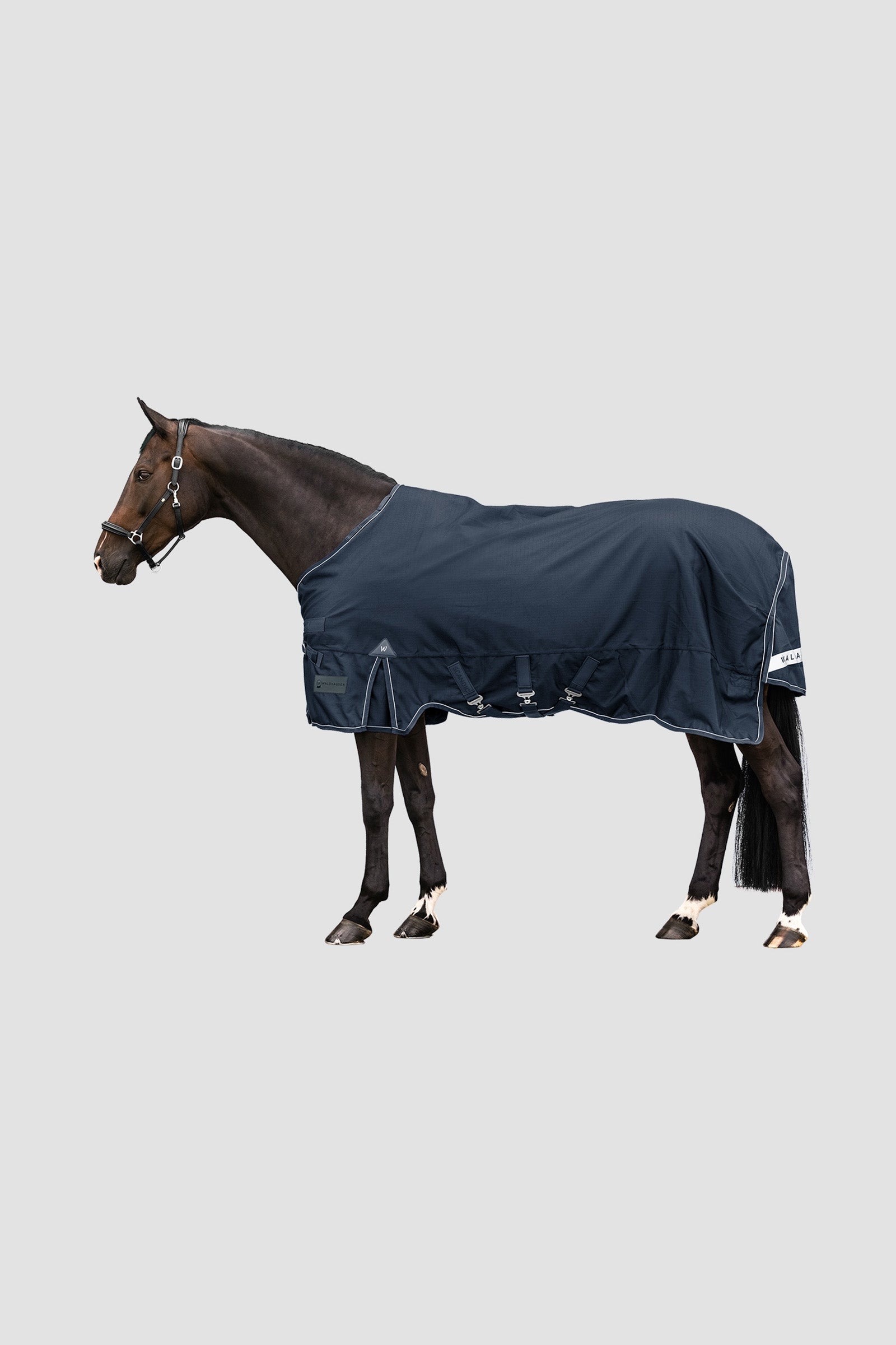 Waldhausen Outdoor Rug Scandic 100g Coperte per cavalli