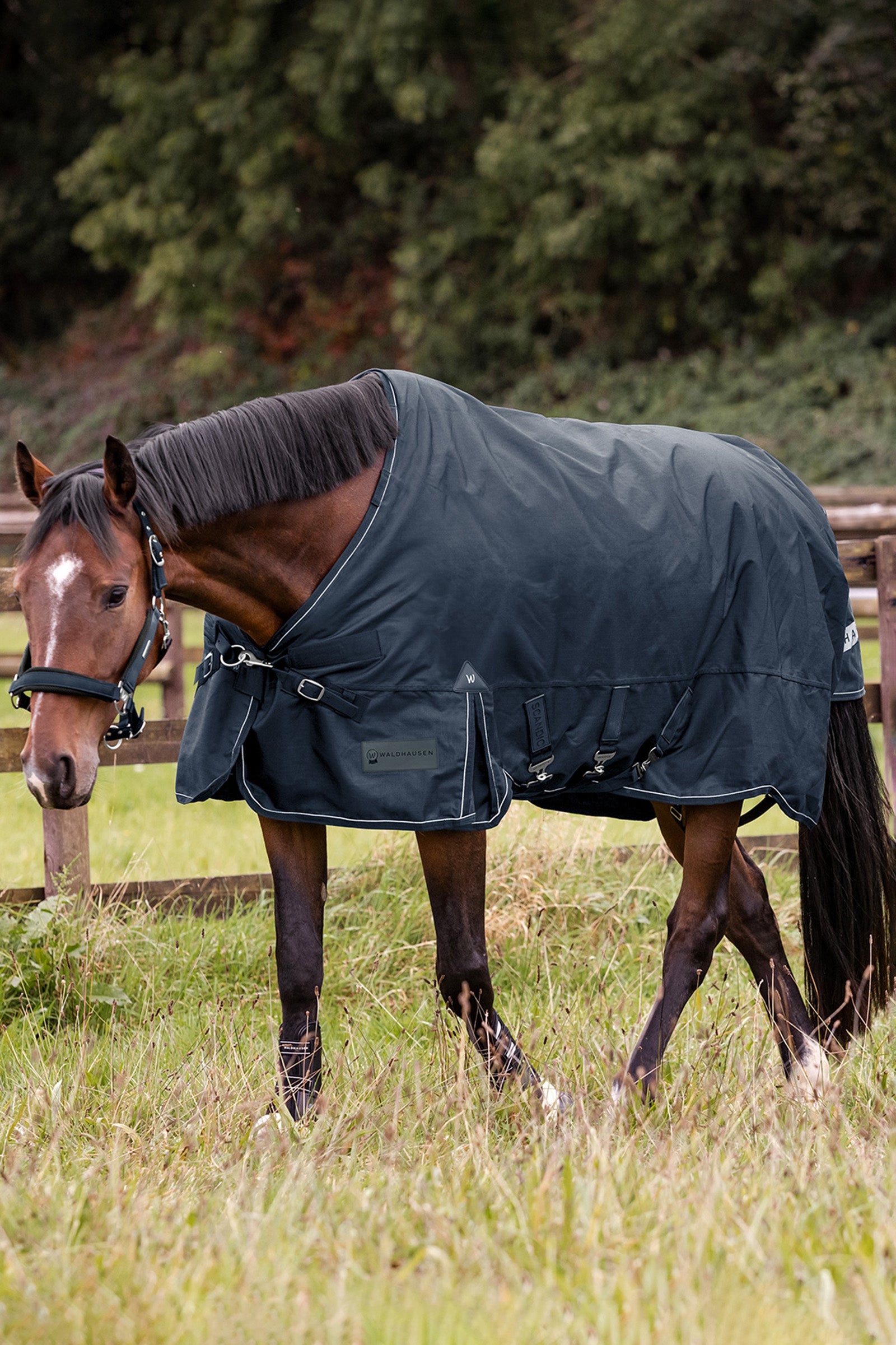 Waldhausen Outdoor Rug Scandic 100g Horse Rugs