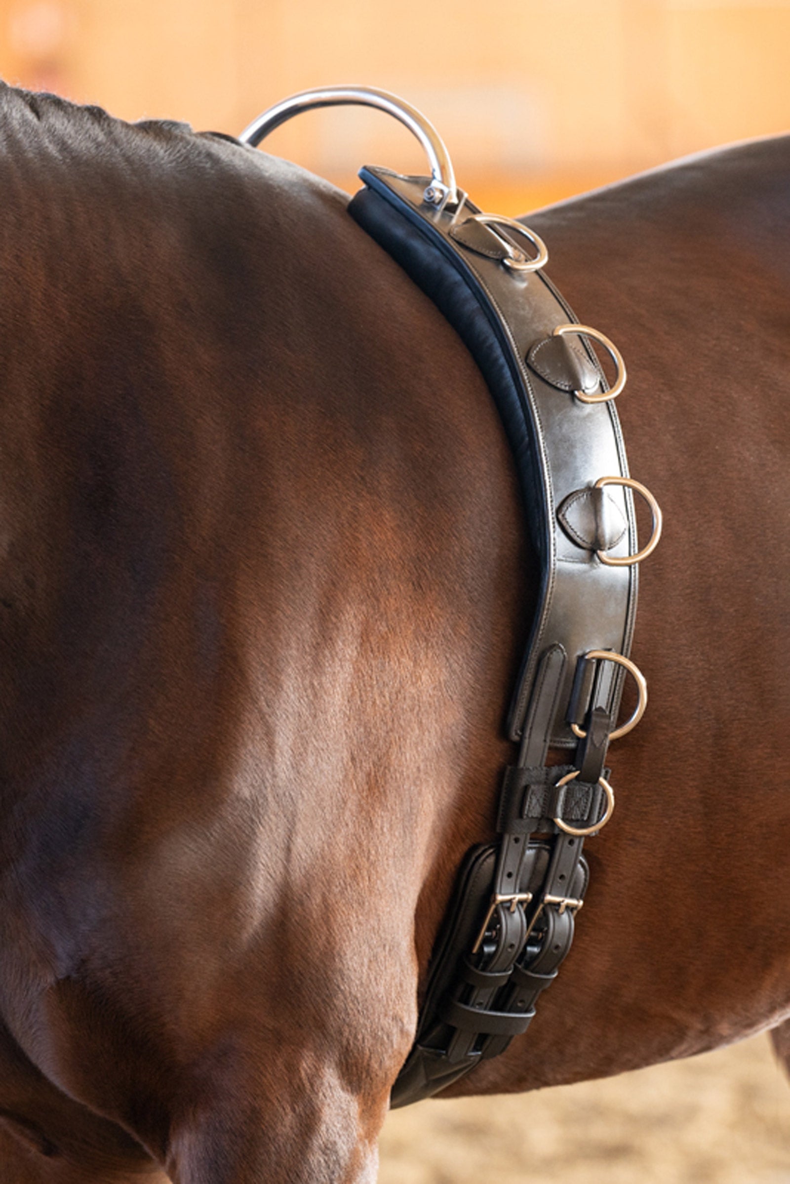 Kavalkade Cinghia da longia in cuoio con telaio Selle & Sottopancia