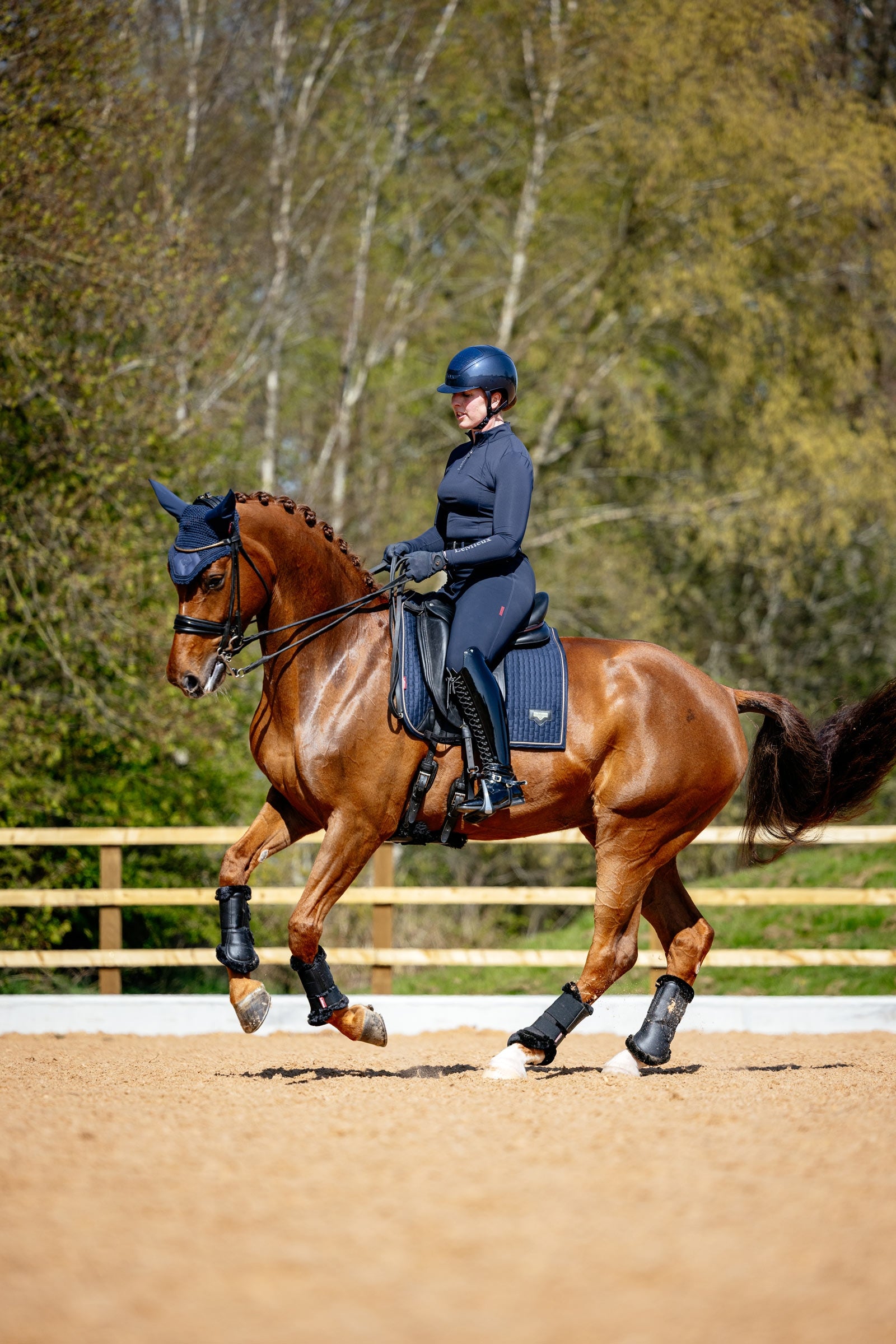 LeMieux Puissance Imitation Suede Dressage Saddle Pad Saddle Pads