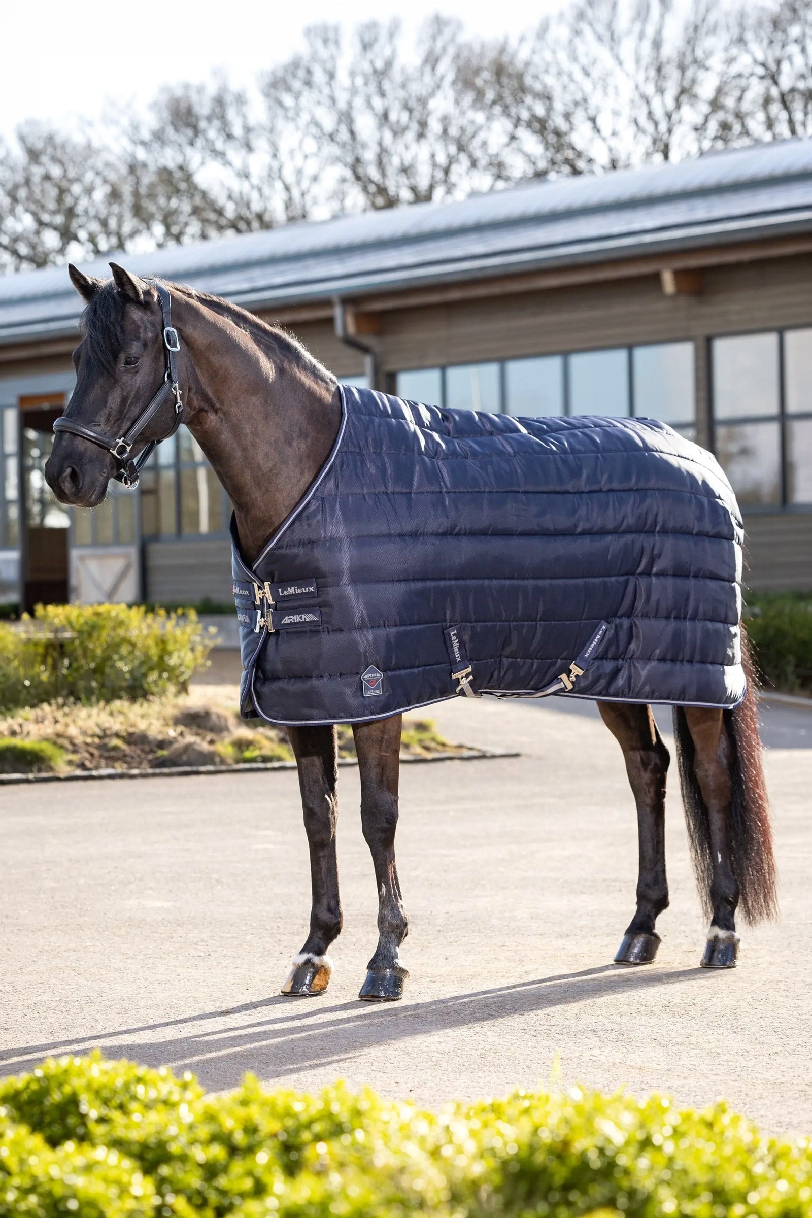 LeMieux Arika Stable-Tek Stable Rug, 350 g Coperte per cavalli