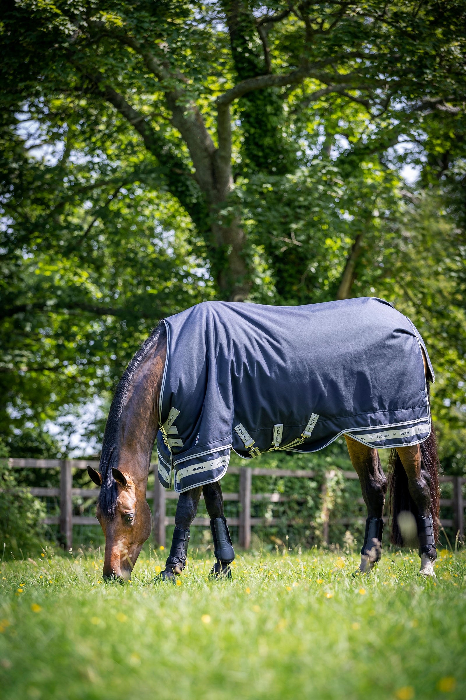 LeMieux Arika Storm-Tek 200g Horse Rugs