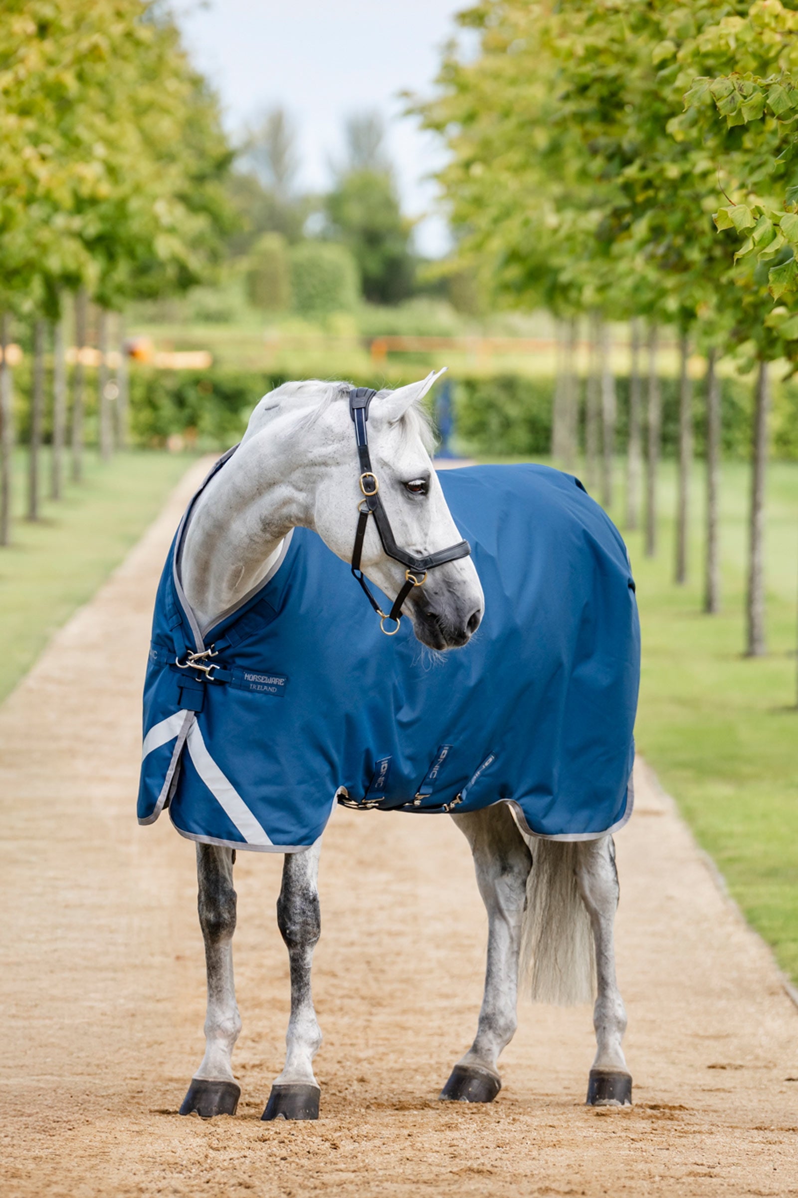 Horseware Ionic Therapy Coperta da turnout leggera, 100g Coperte per cavalli