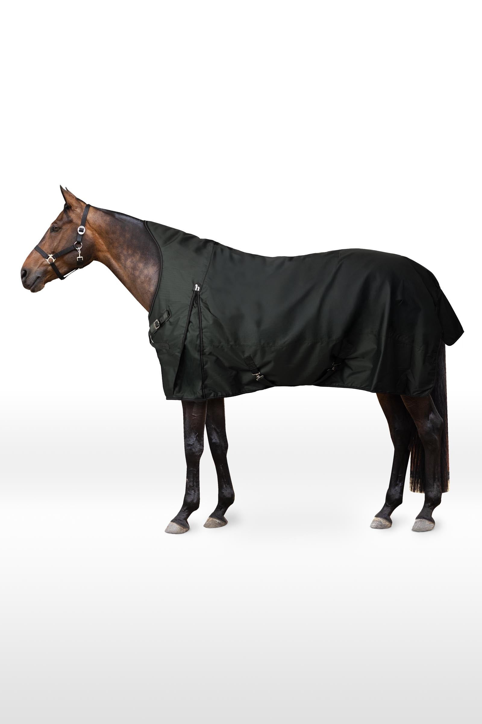 Horze Helsinki coperta da paddock con colletto parziale, 50 g Coperte per cavalli