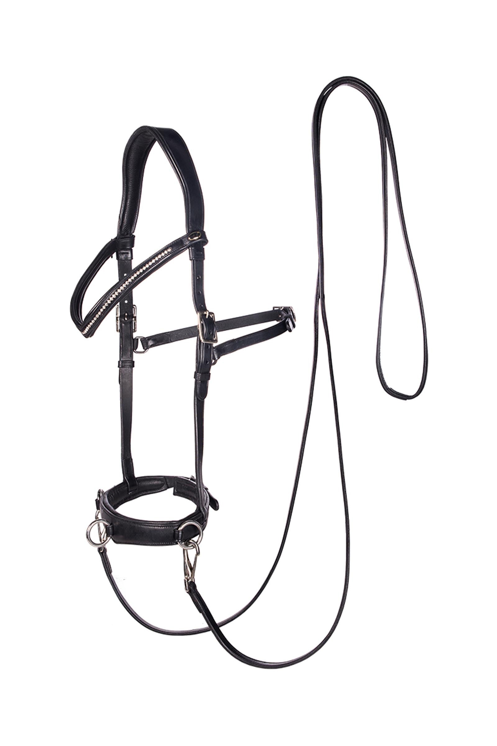 F.R.A. Freedom Riding Articles Wendy B Cavesson, Bitless Bridle, Leather Reins w/ Clip Bridles & Reins