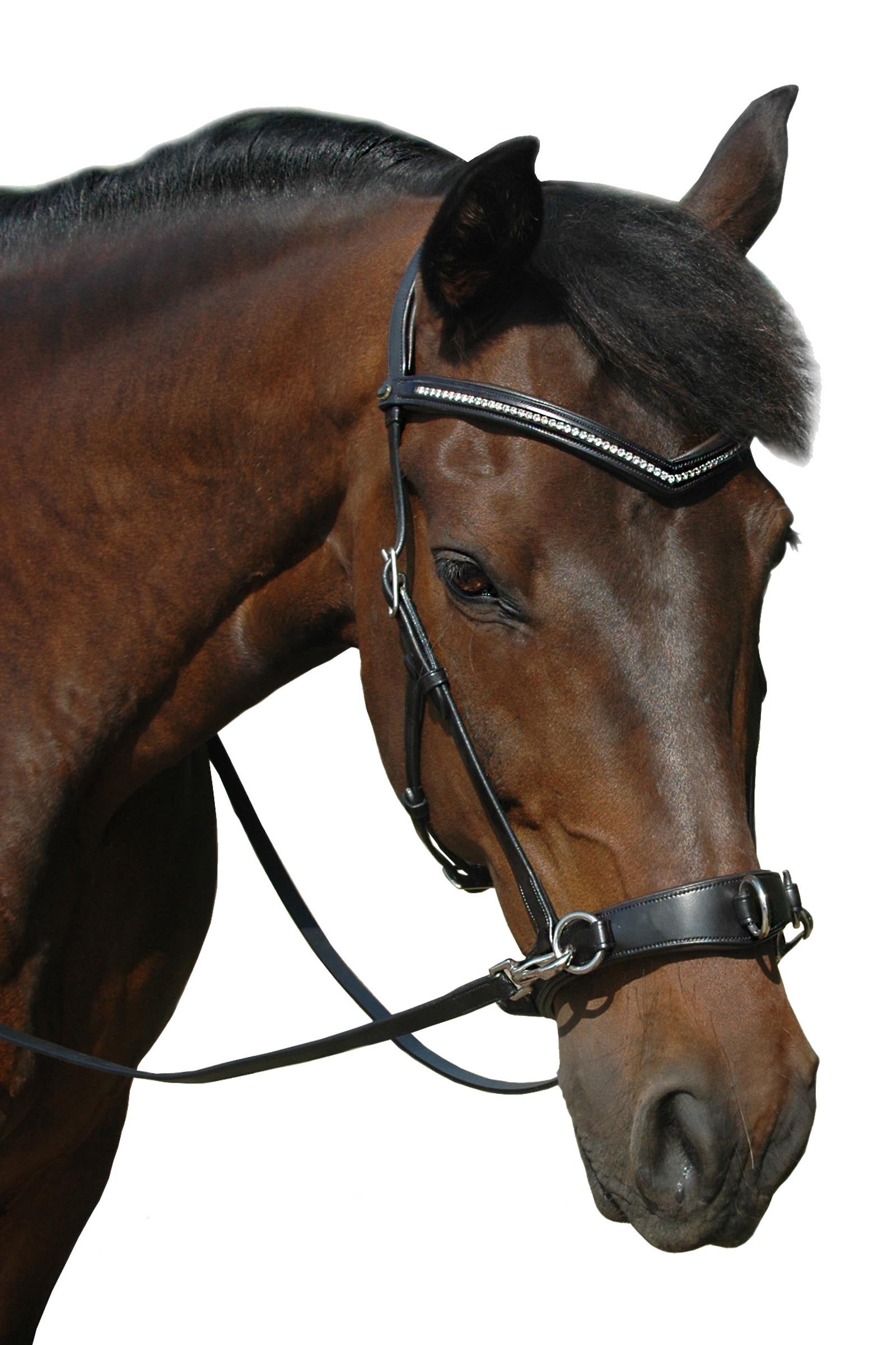 F.R.A. Freedom Riding Articles Wendy B Cavesson, Bitless Bridle, Leather Reins w/ Clip Bridles & Reins