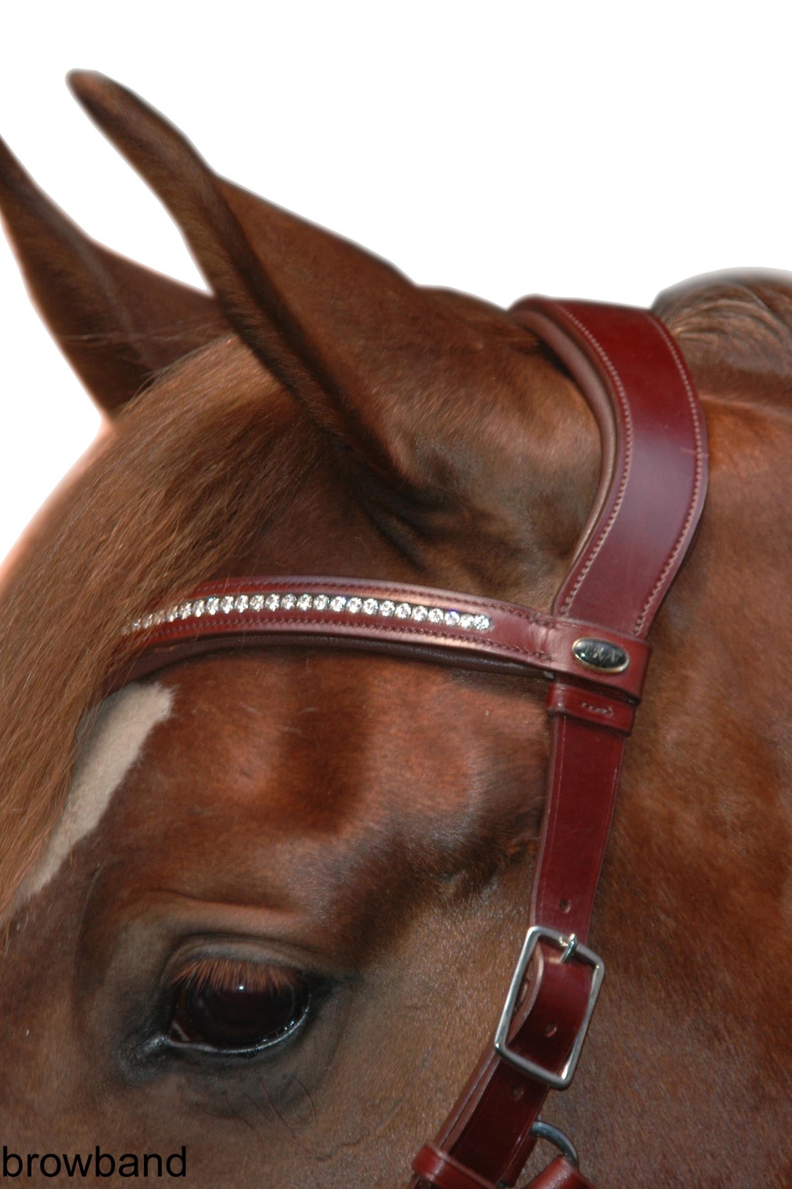 F.R.A. Freedom Riding Articles Wendy B Cavesson, Bitless Bridle, Leather Reins w/ Clip Bridles & Reins