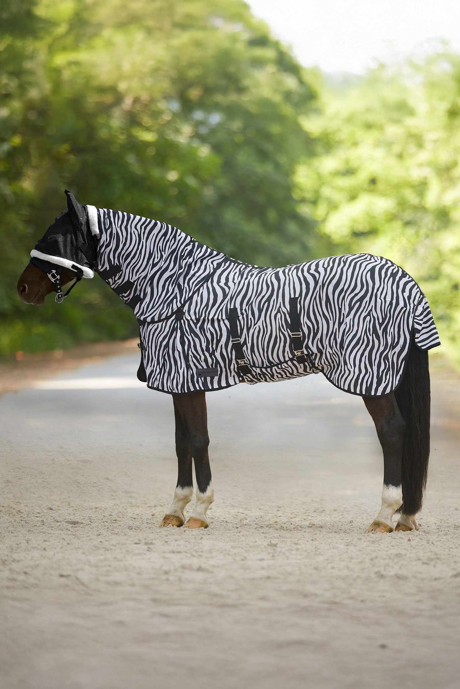 Waldhausen Zebra Fly Rug With Straight Surcingles Horse Rugs