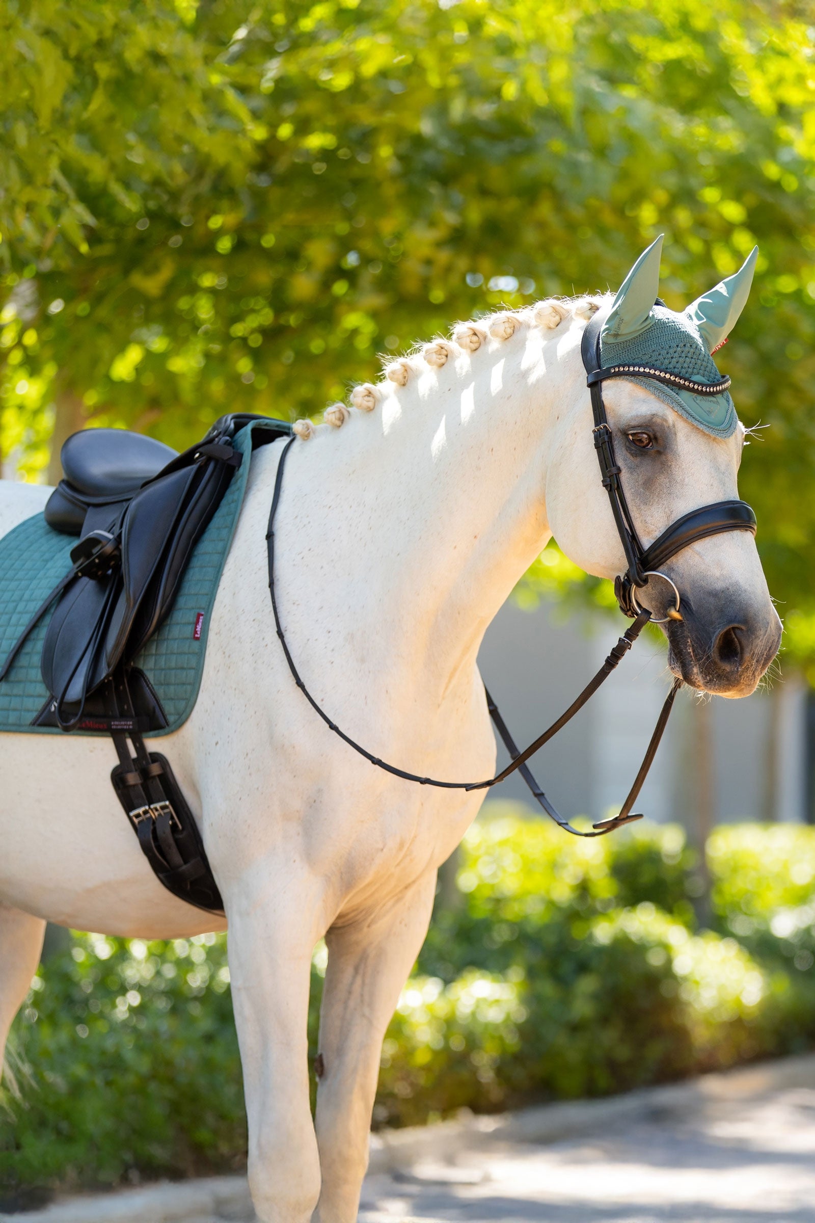 LeMieux Suede Square Dressage Saddle Pad Saddle Pads
