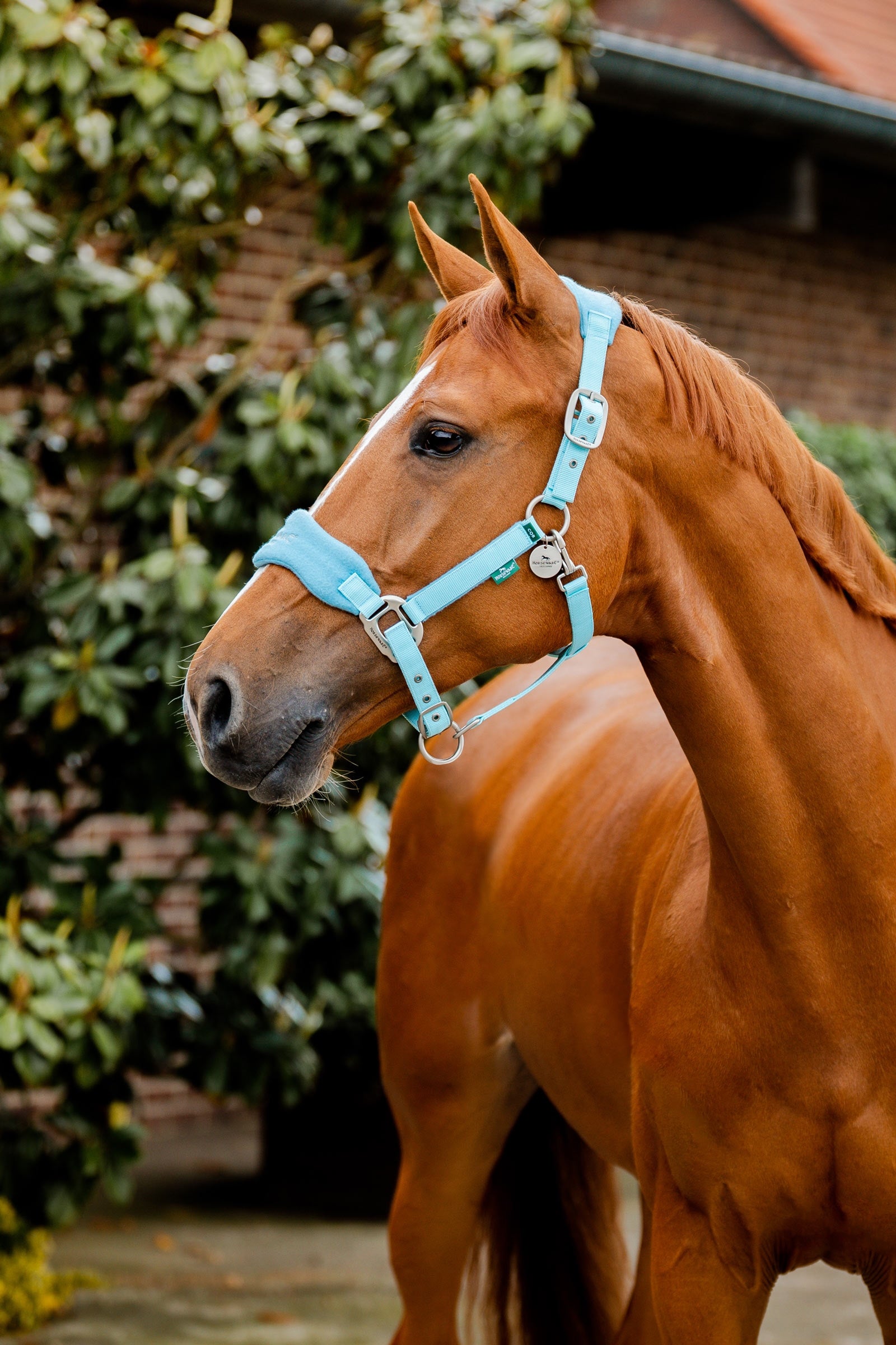 Horseware Signature Redini da Pulizia Cavezze e guinsagli