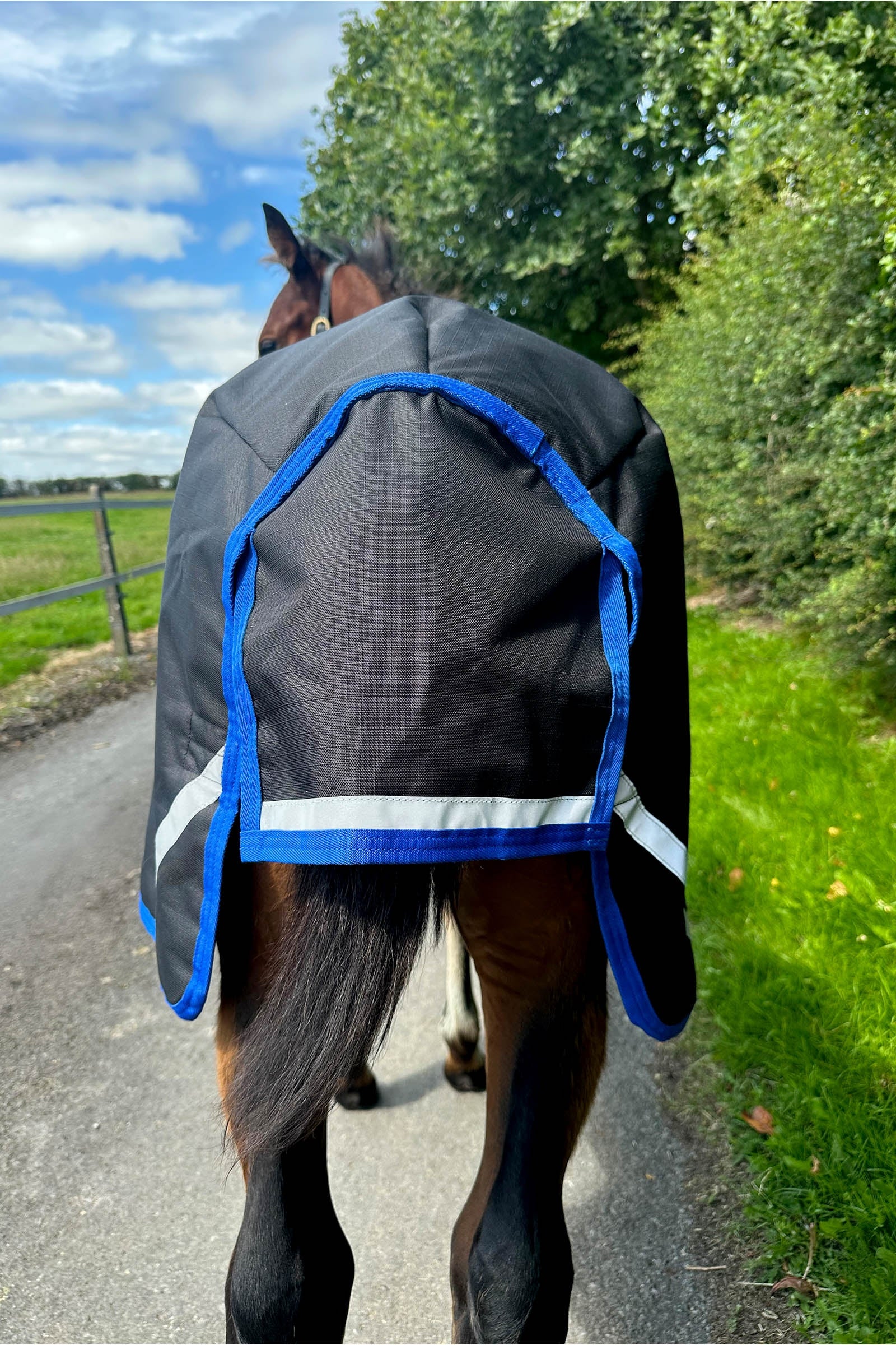 Horseware Amigo Ripstop 900D Foal Turnout 200g Horse Rugs