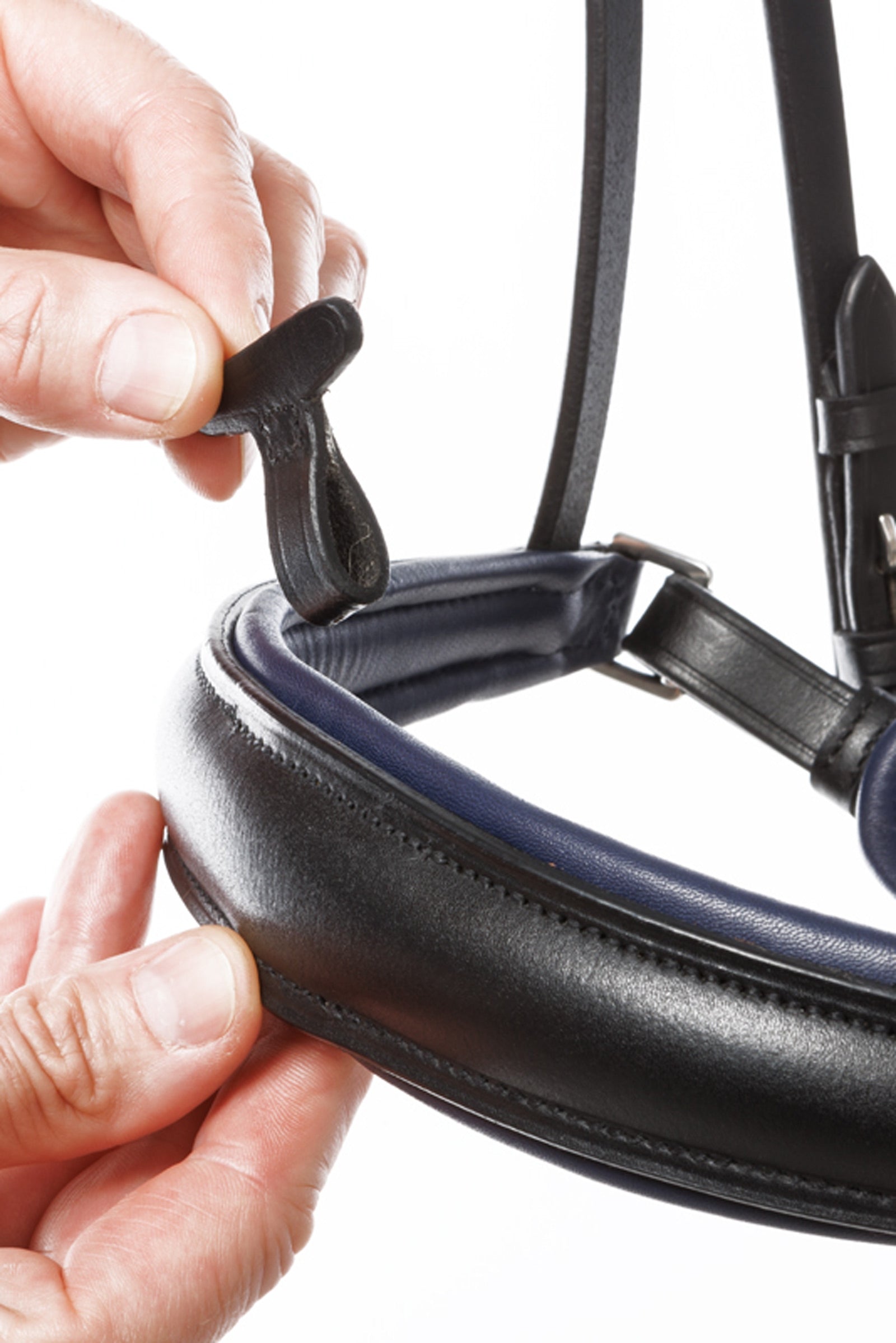 Kavalkade Bridle Ocean crank nb. with flash Bridles & Reins