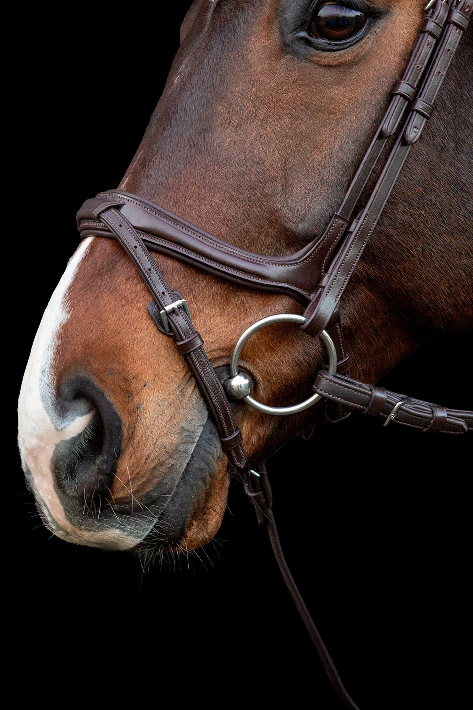 Schockemöhle Sports Ancona Select Bridle Bridles & Reins