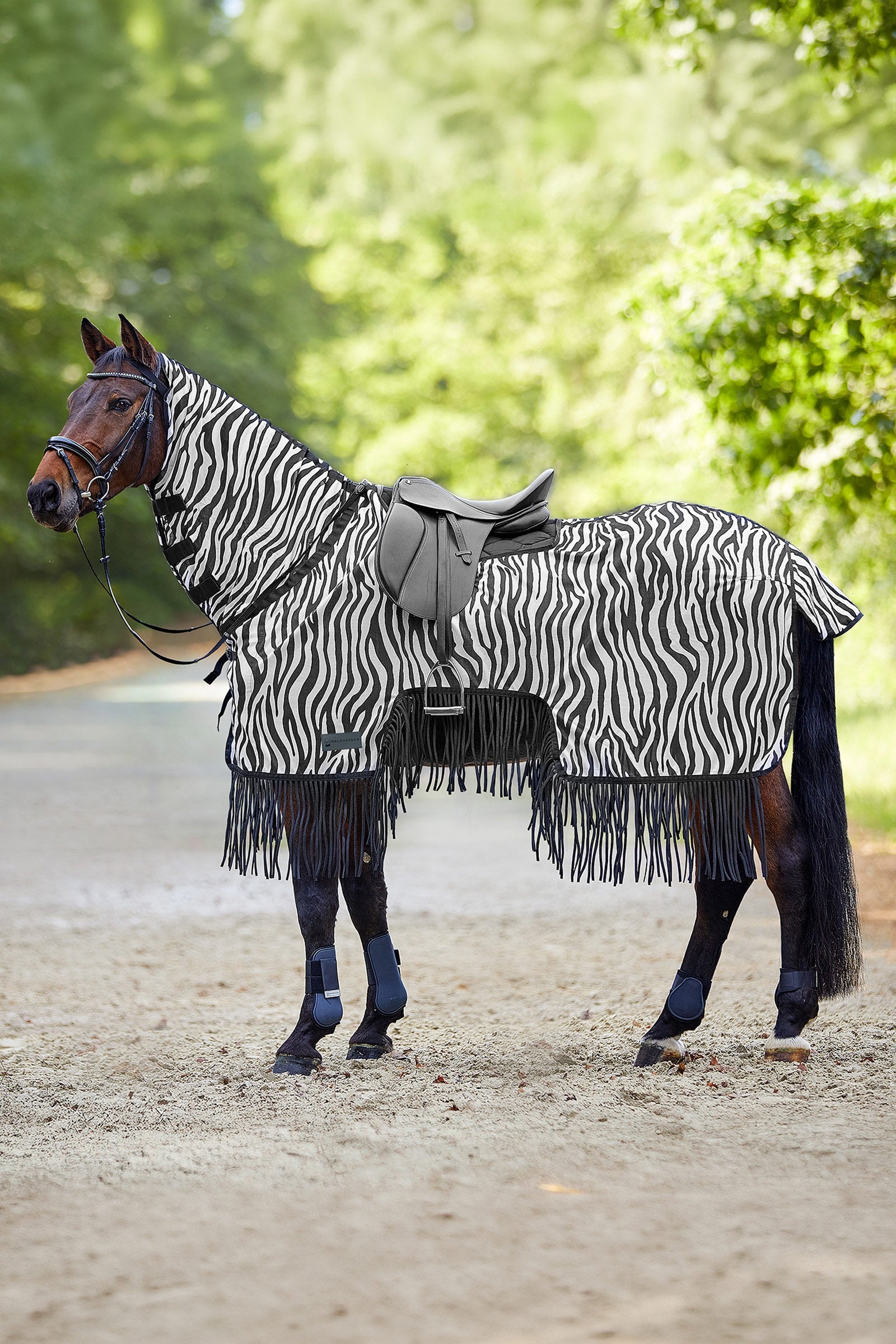 Waldhausen Zebra coperta antimosche con taglio sella e frange, protezione UV Coperte per cavalli