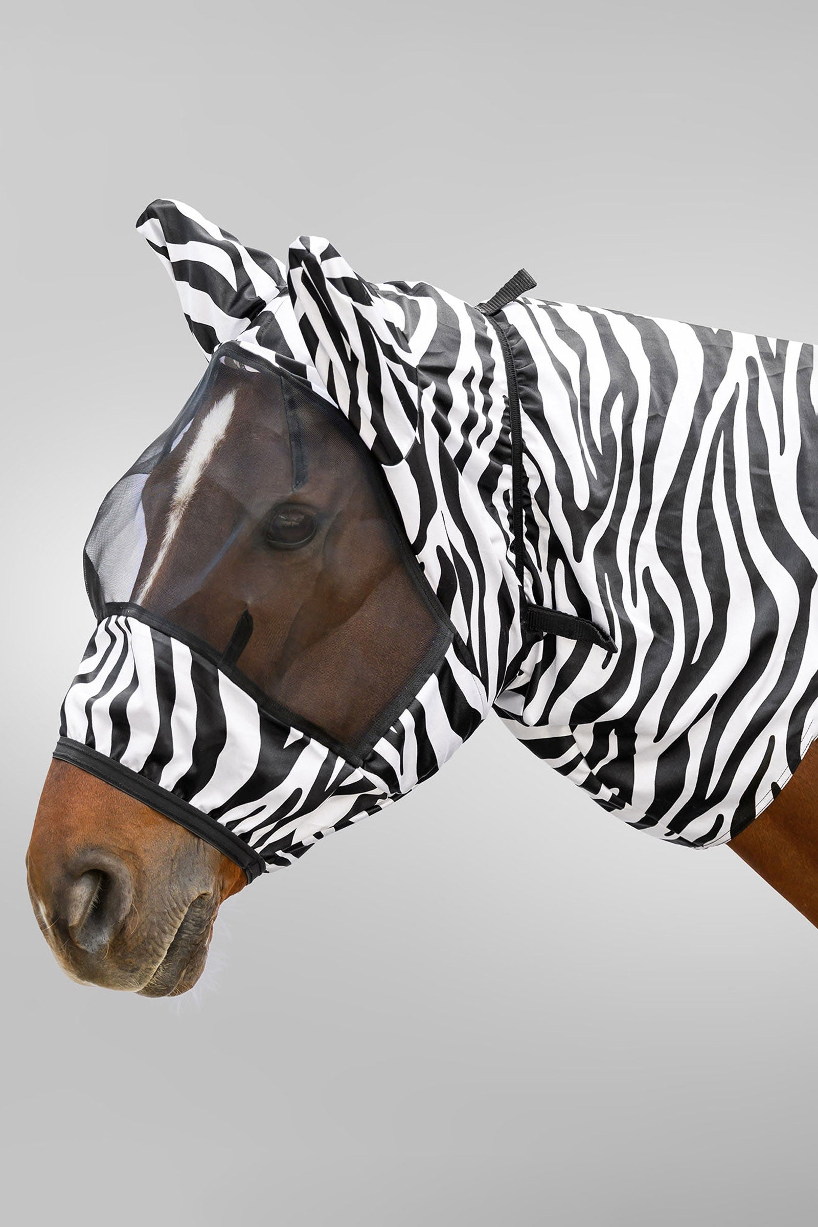 Waldhausen maschera antimosche eczema zebra con protezione UV Protezione antimosche per cavalli