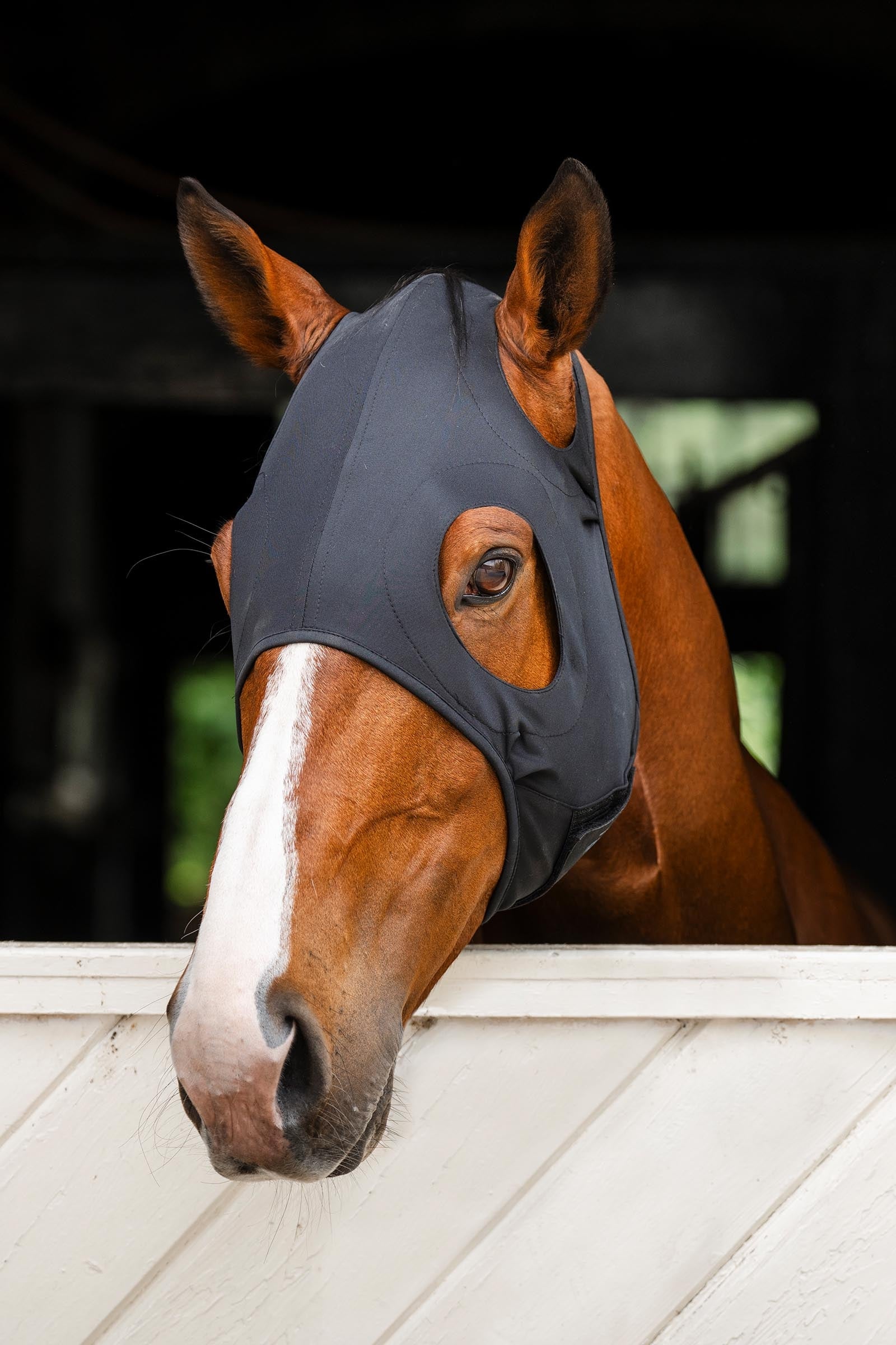 Horseware Ionic maschera calmante Protezione antimosche per cavalli