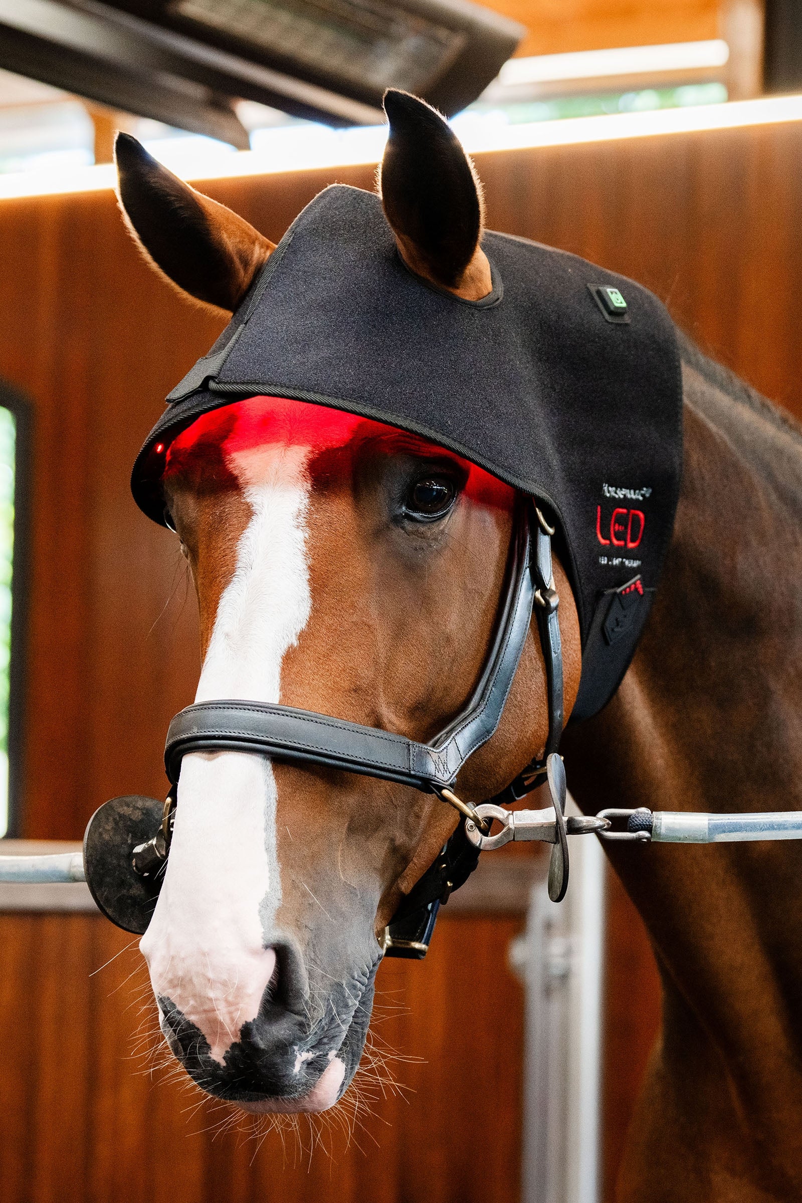 Horseware cappuccio terapeutico a LED con luce rossa per la nuca Coperte per cavalli