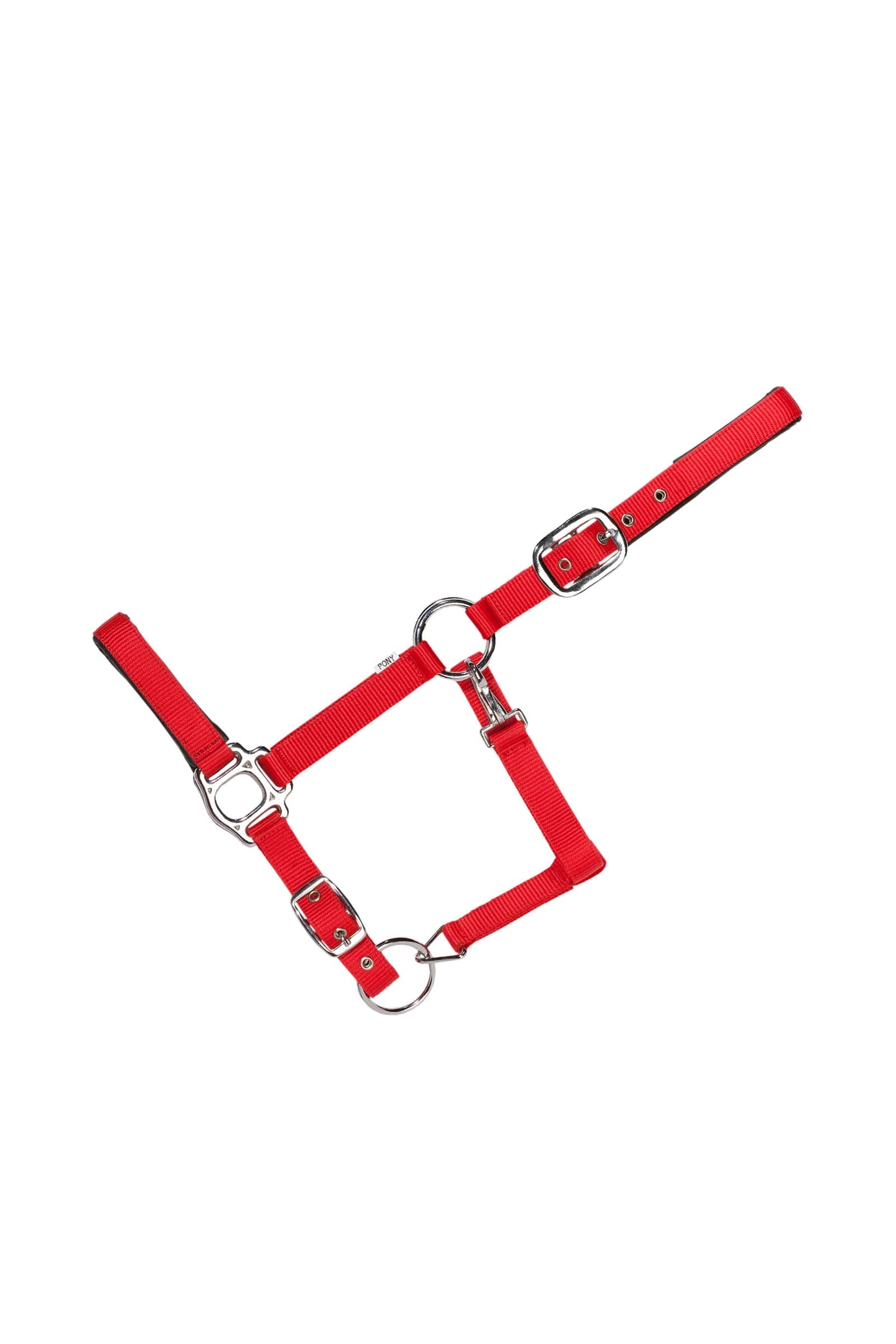 USG Everyday Soft Padded Halter Cavezze e guinsagli
