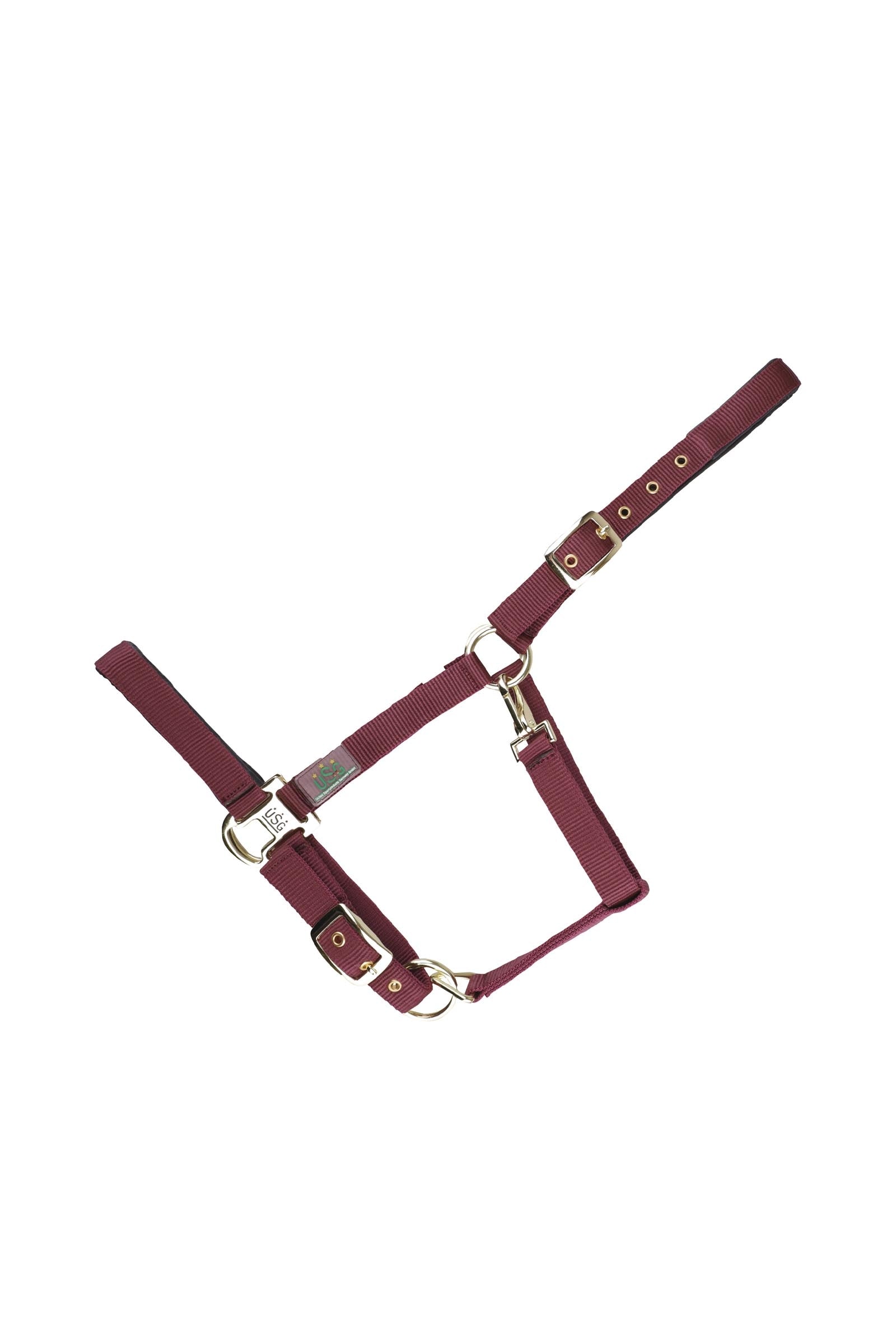 USG Everyday Soft Padded Halter Cavezze e guinsagli