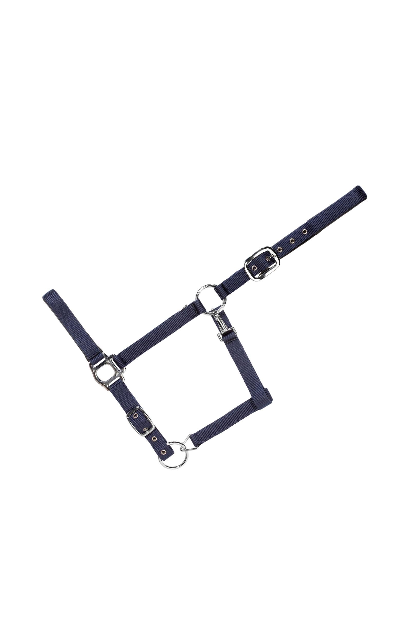 USG Everyday Soft Padded Halter Cavezze e guinsagli