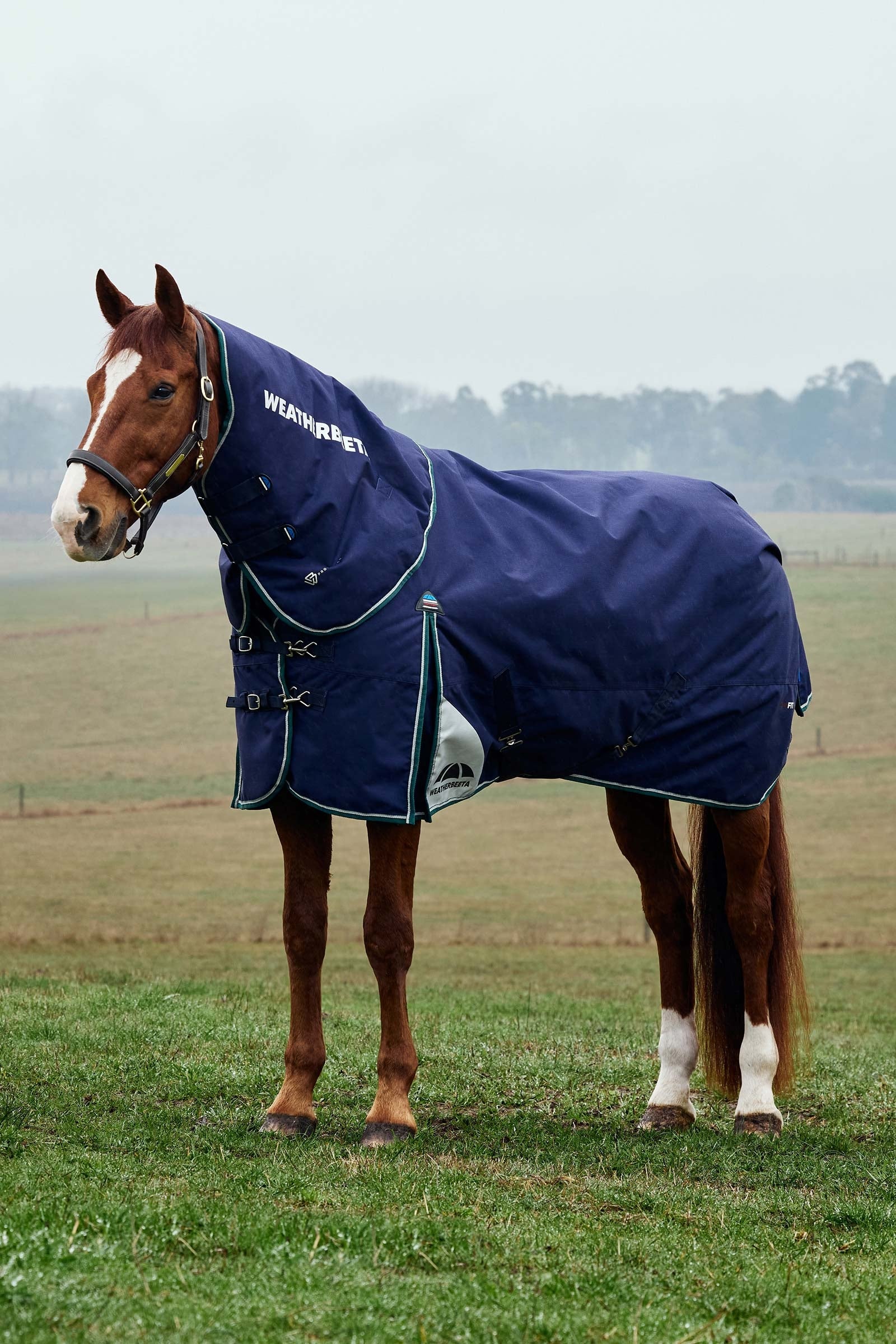 Weatherbeeta ComFiTecPlus Dynamic Turnout Detach-A-Neck 220G Coperte per cavalli